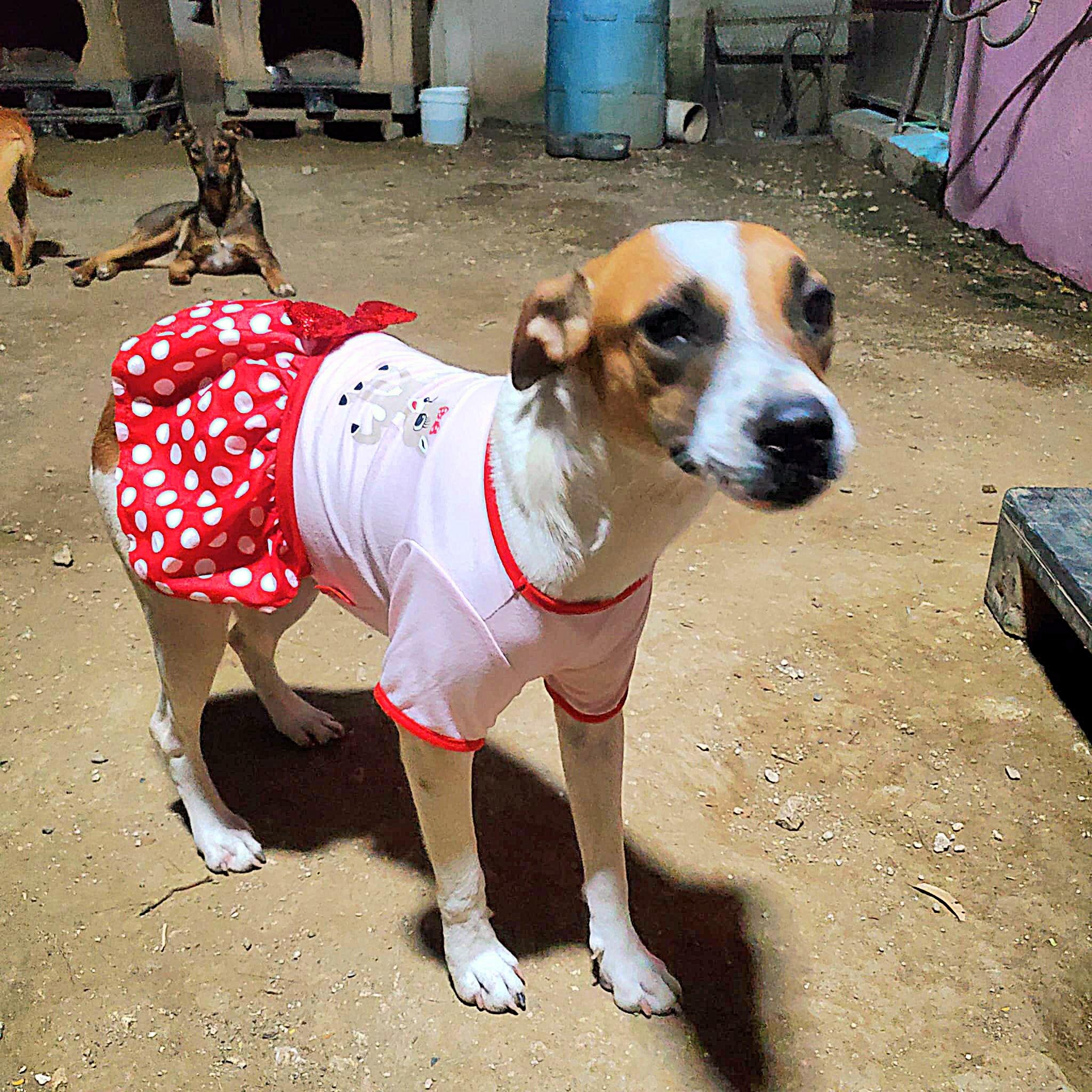 Kiren "dressed For Love."