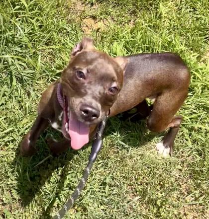 Lovee Louise — thumbnail 3