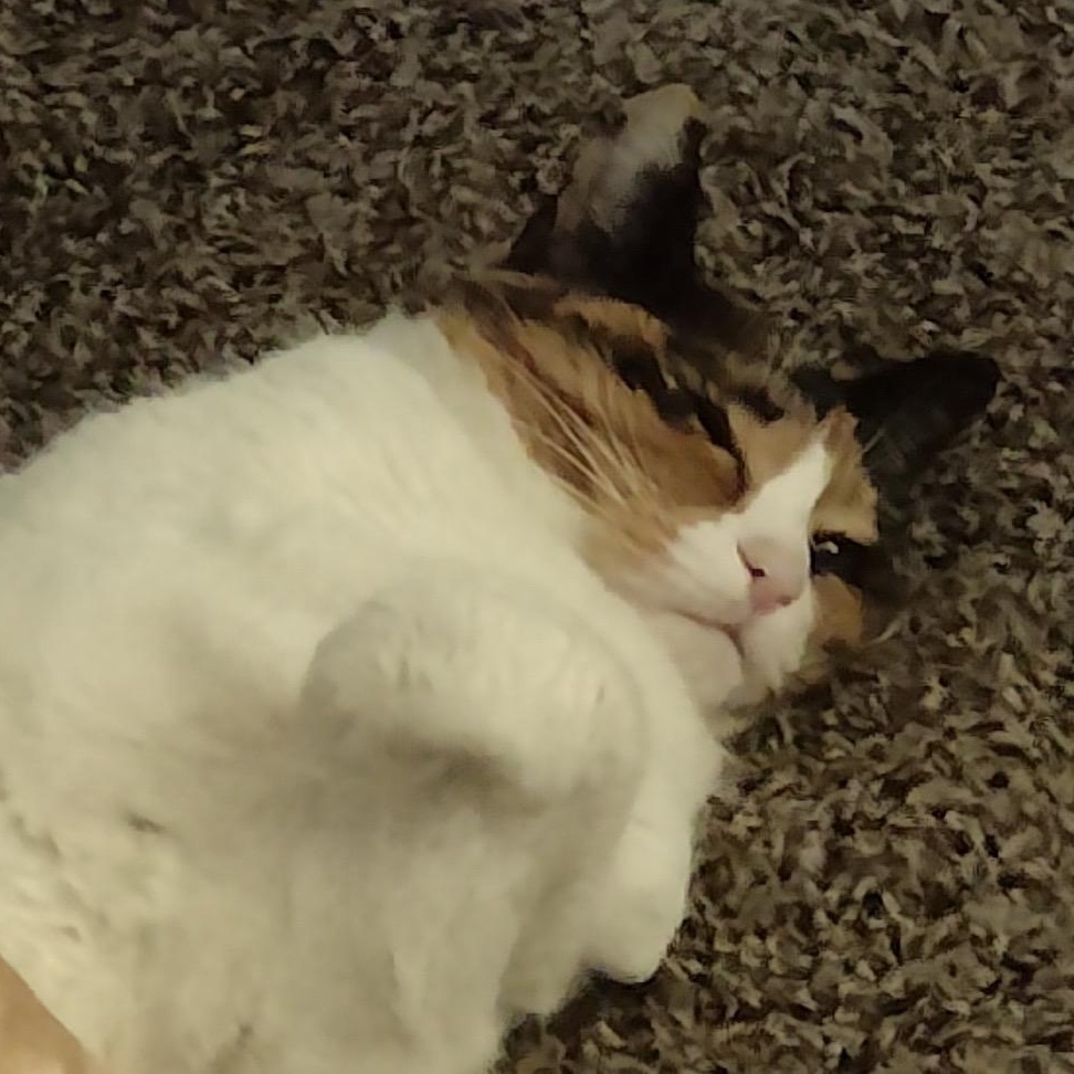 Sophie photo 4