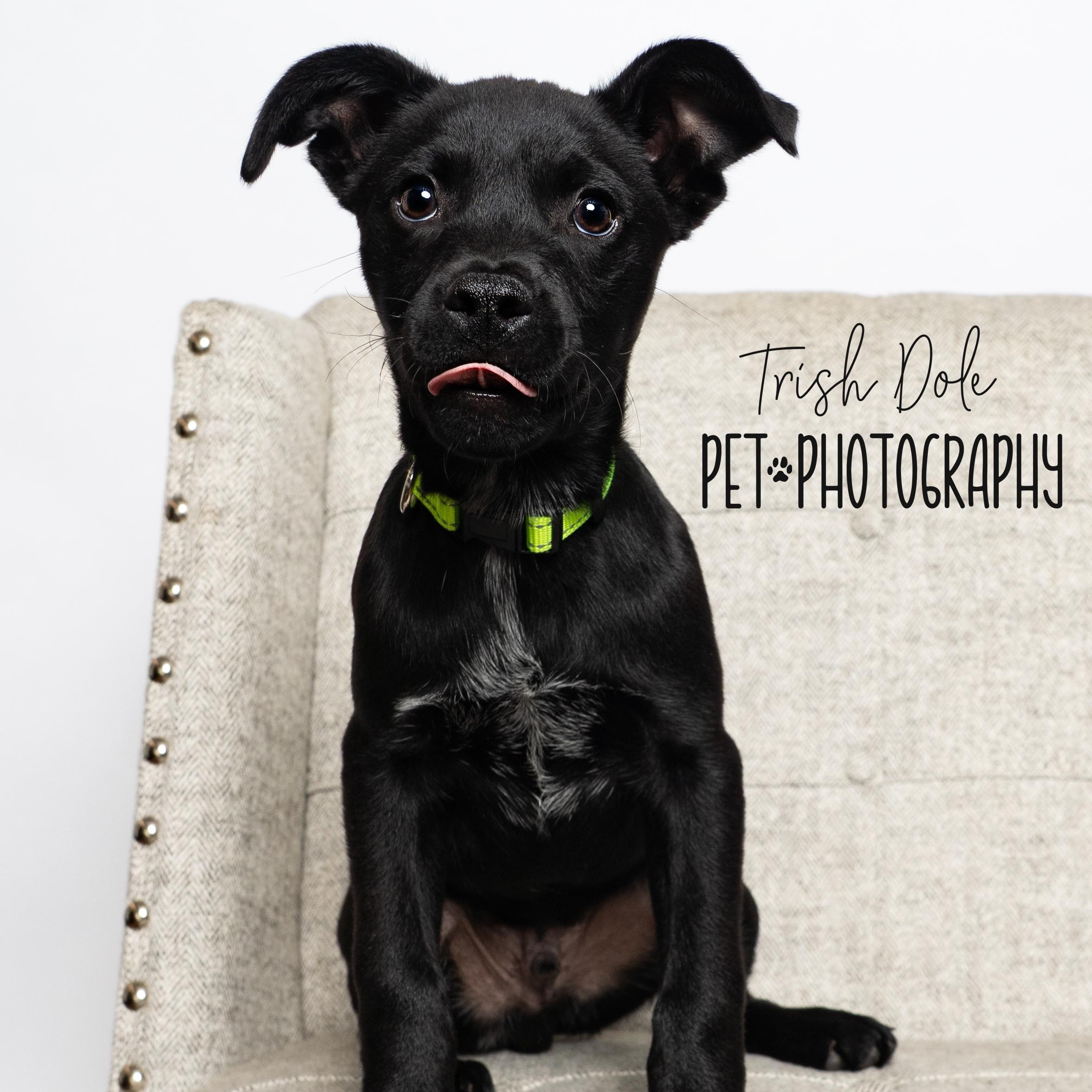 Linus — thumbnail 5