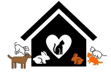 GenericCatAdoptionCollage, a Adoptable Domestic Short Hair in Simcoe, ON image 1/2