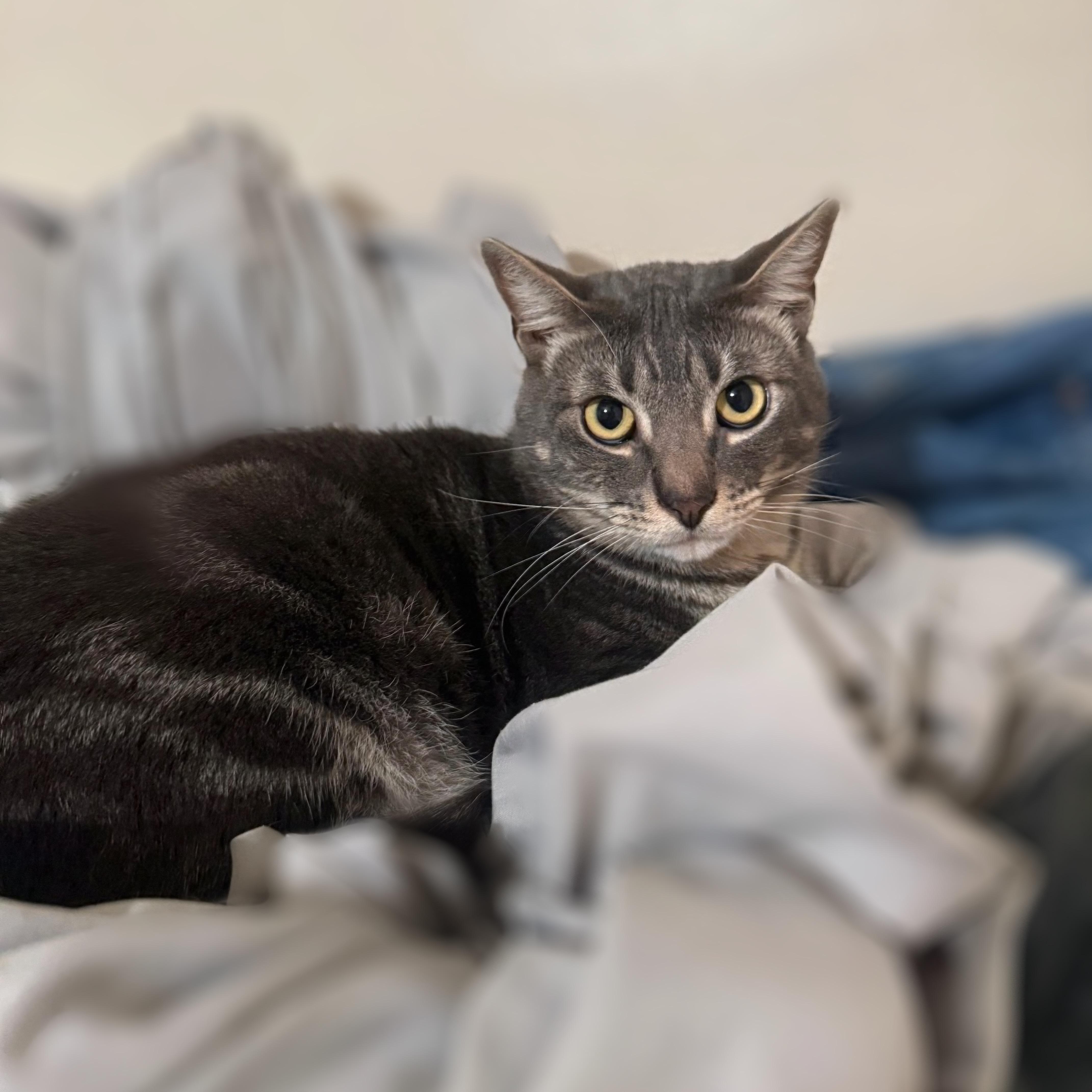 Simon — thumbnail 2