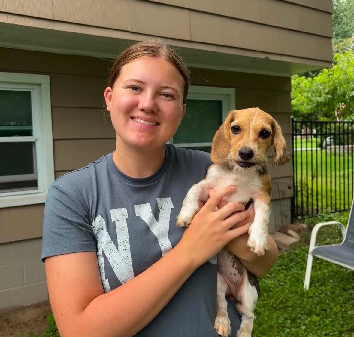 Charlotte, Adopted, Young Female Beagle & Shih Tzu.