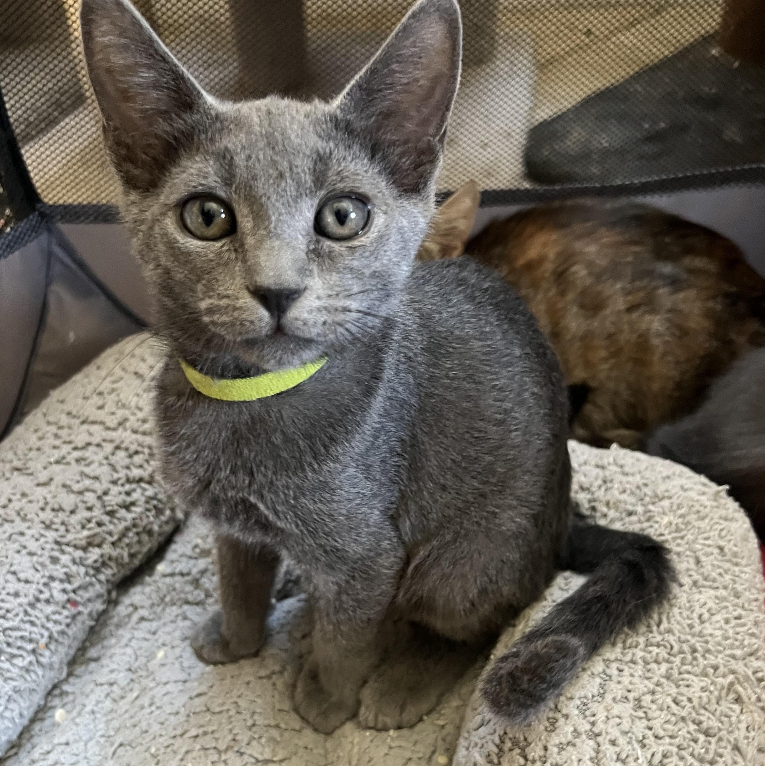 Little Man/ Karla’s