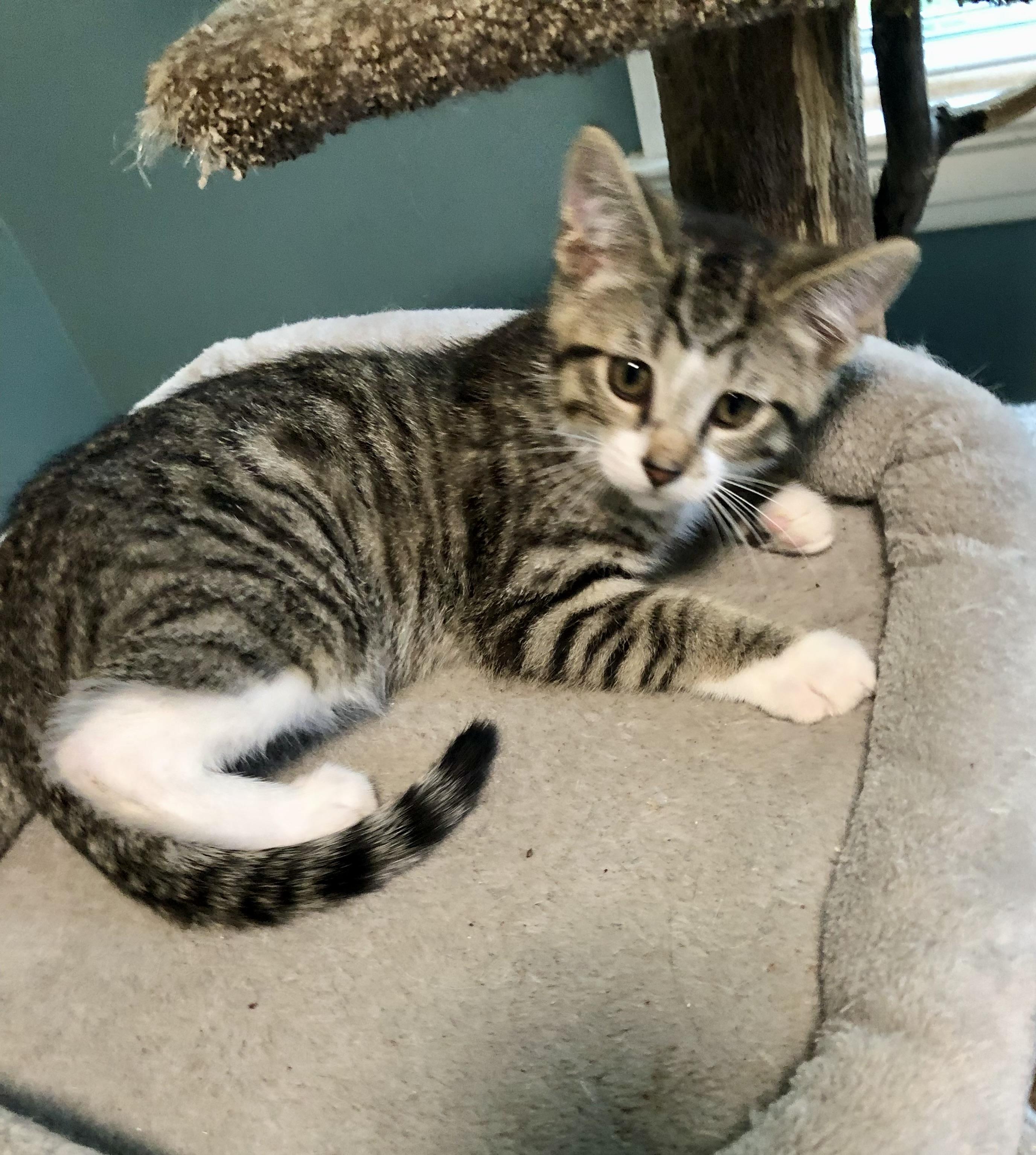 Twix, Baby Male unknown