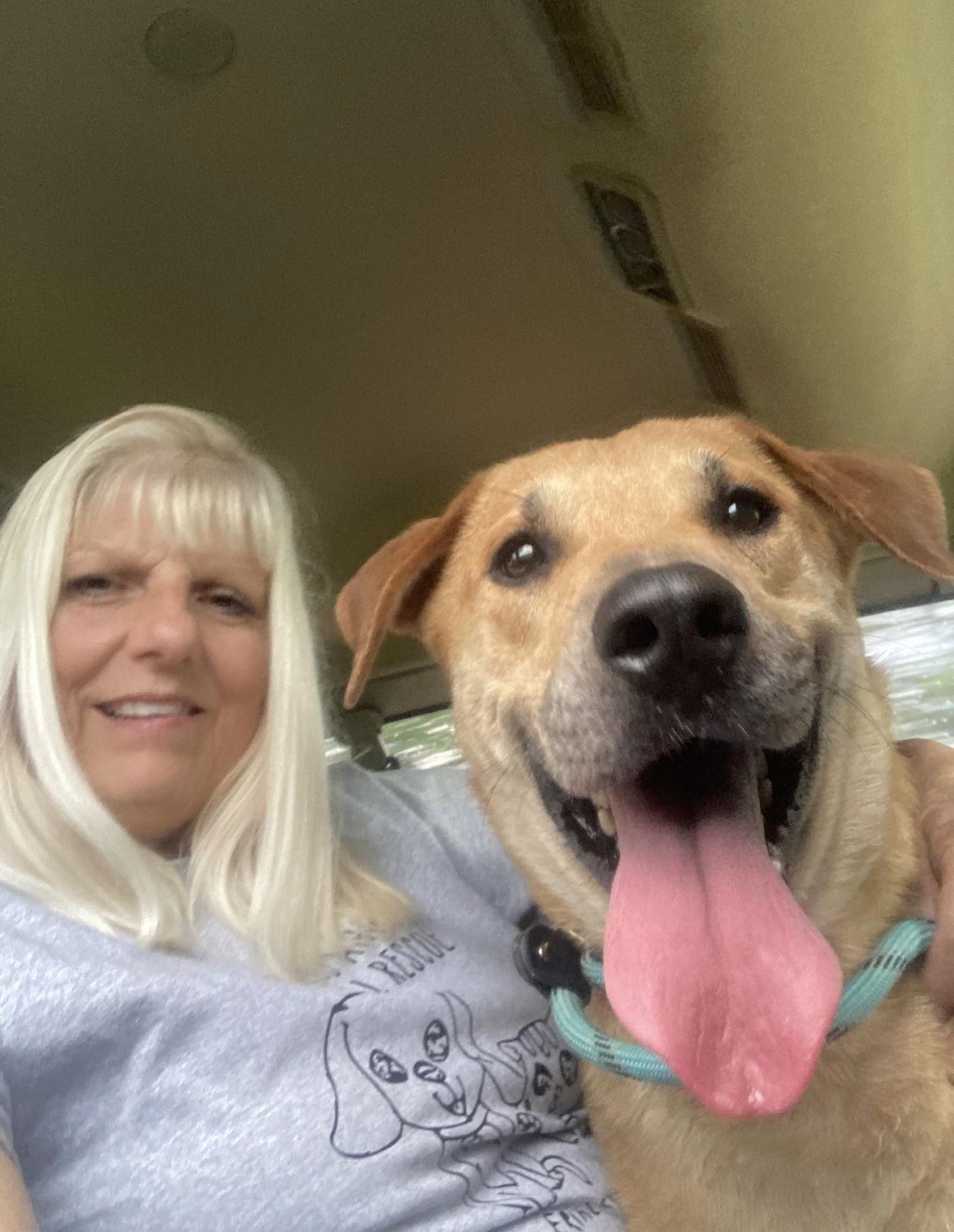 Enlarge Oliver, a Adoptable mixed breed in Pottstown, PA image 2/3