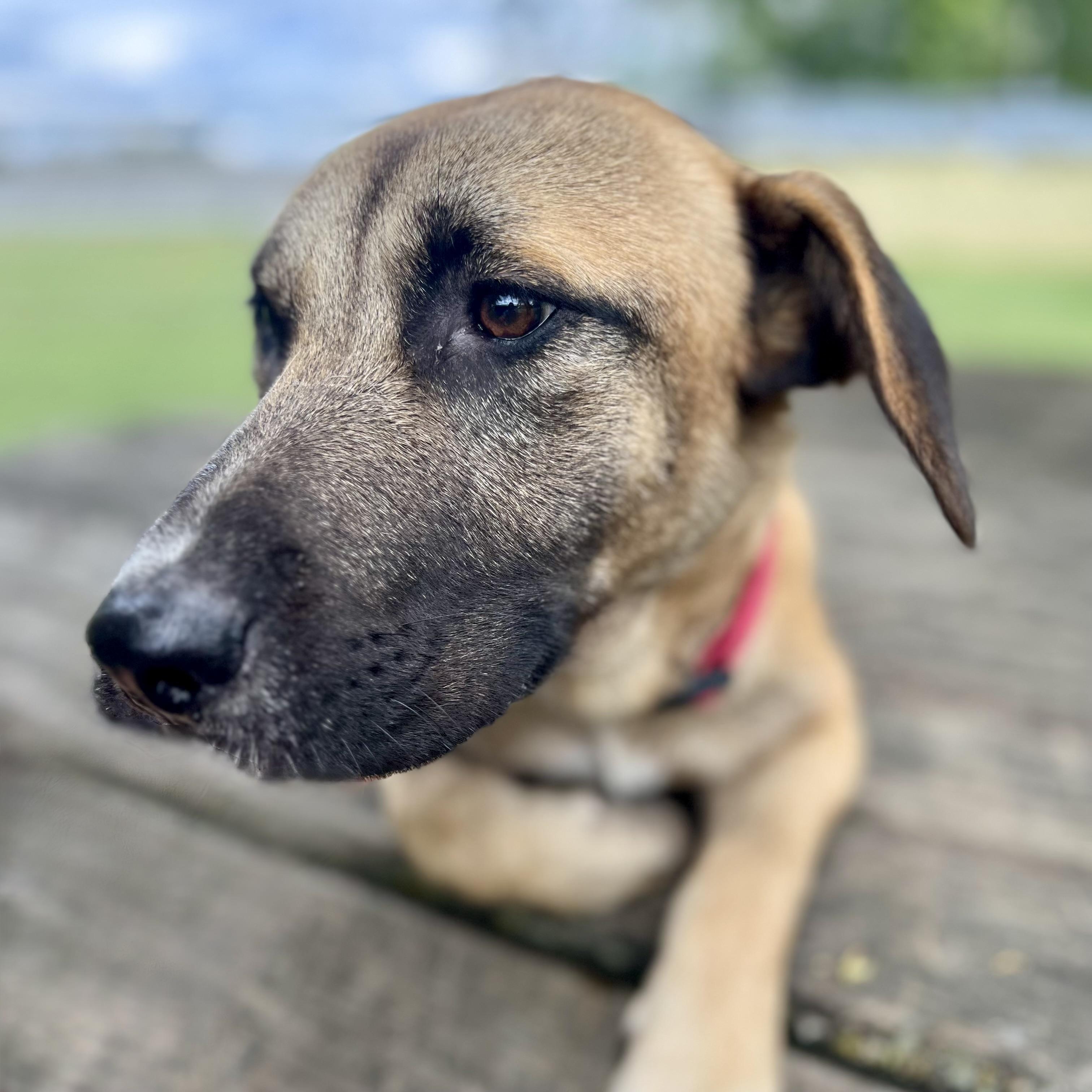 Cooper