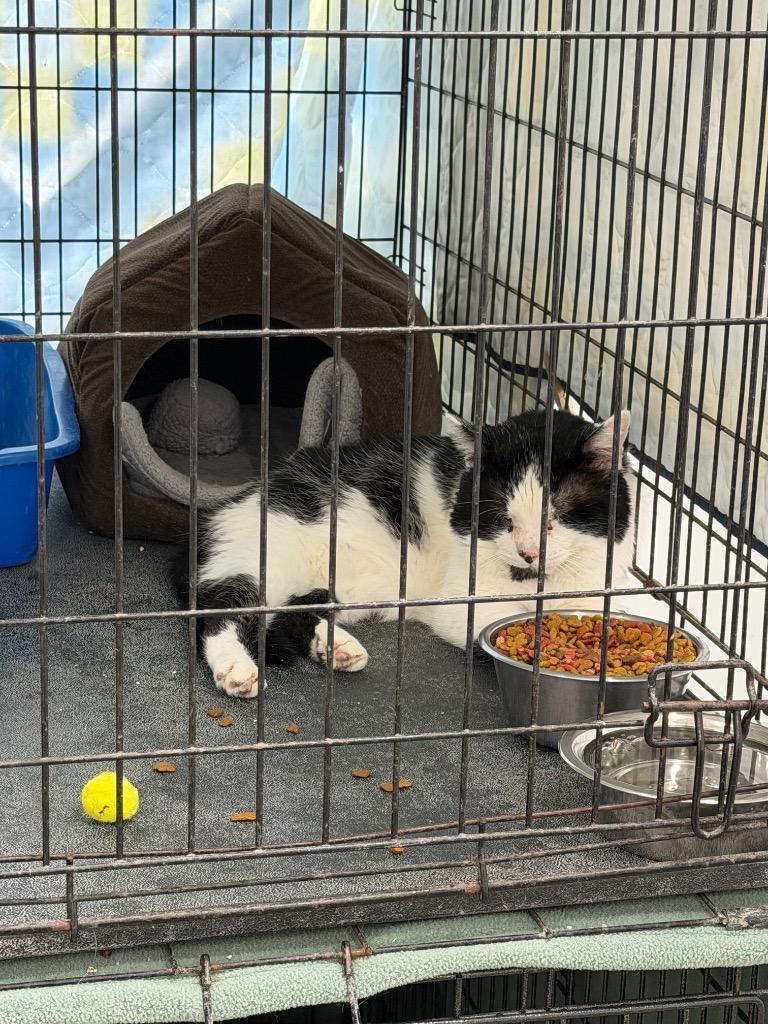 Vern — thumbnail 2