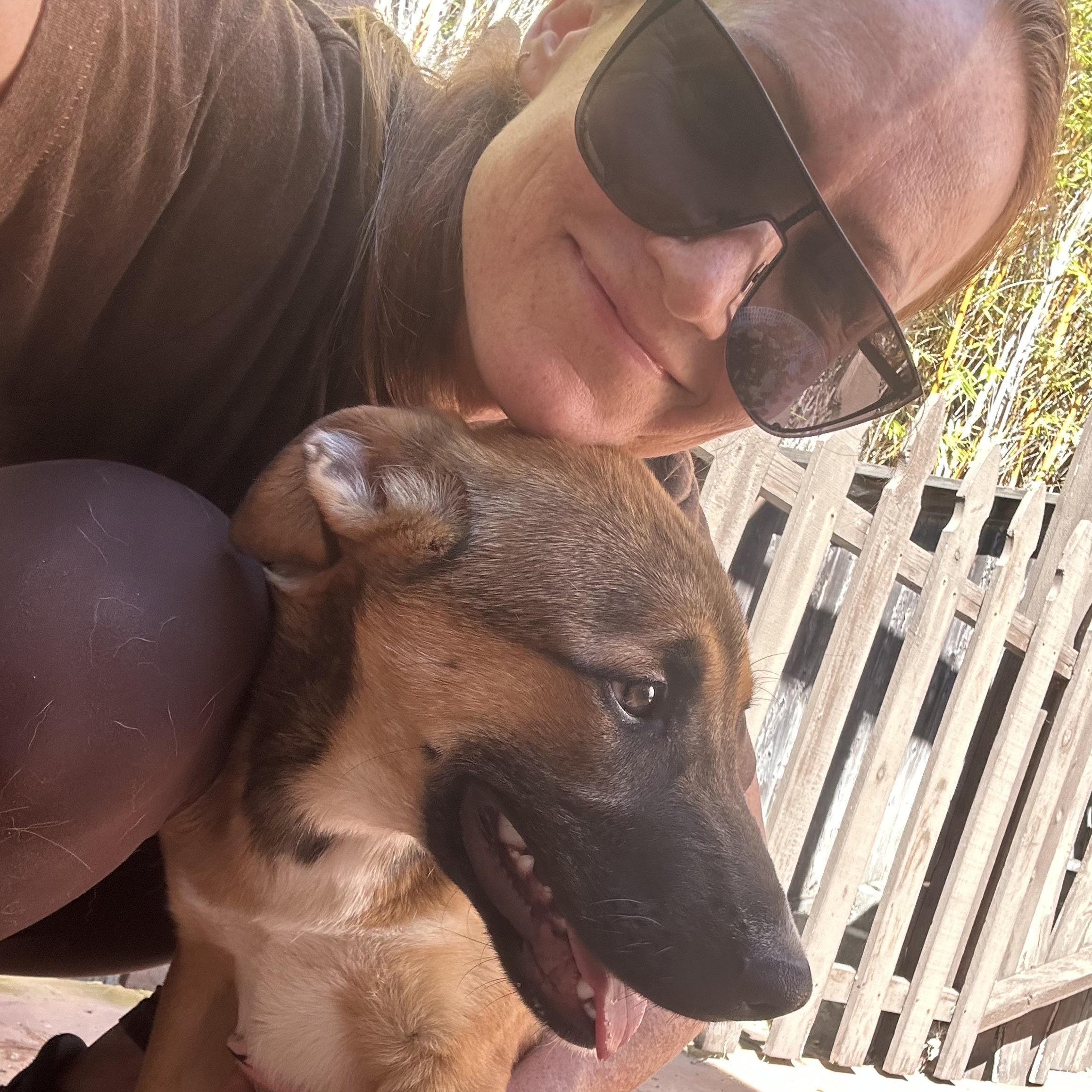 Enlarge NALA!, a ADOPTABLE mixed breed in Trabuco Canyon, CA image 3/5