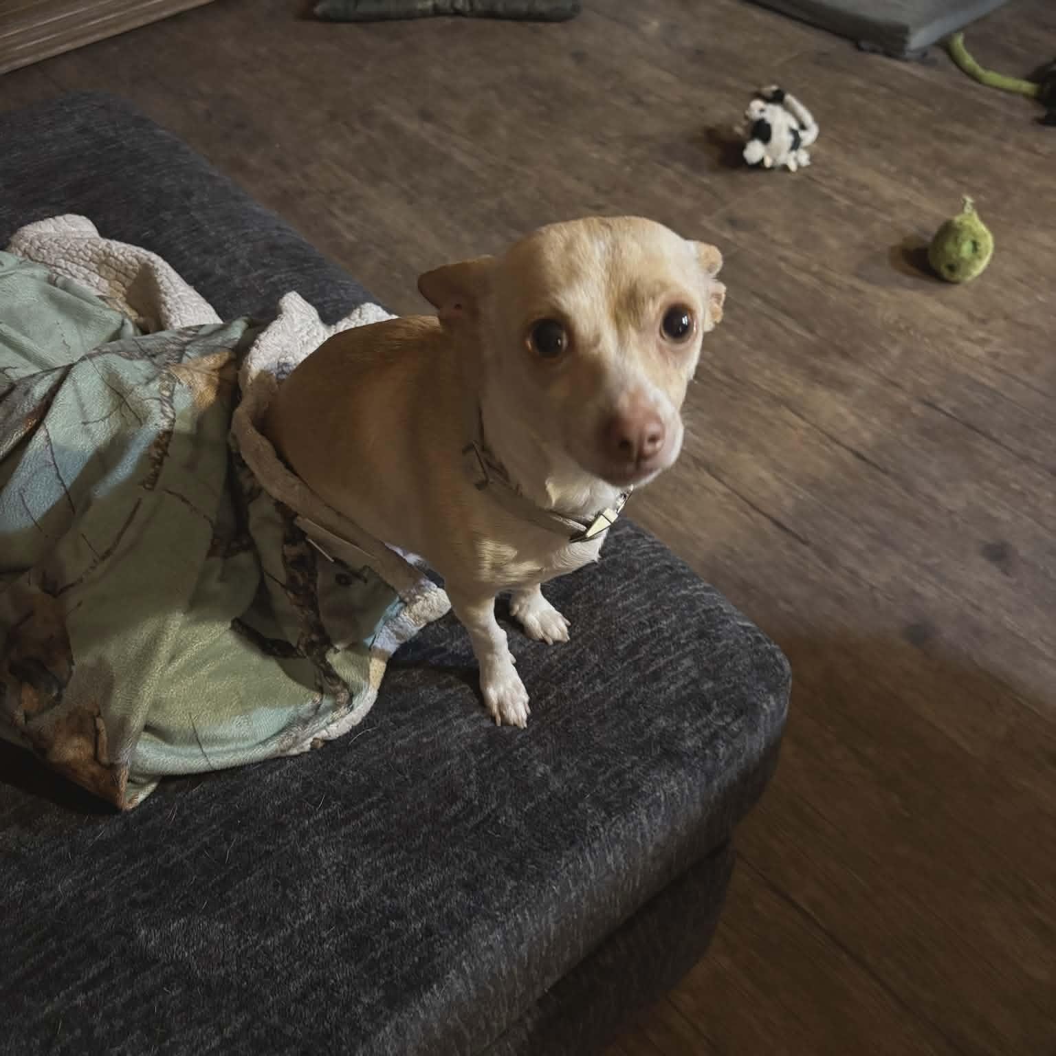 Summerlovin' thumbnail 2