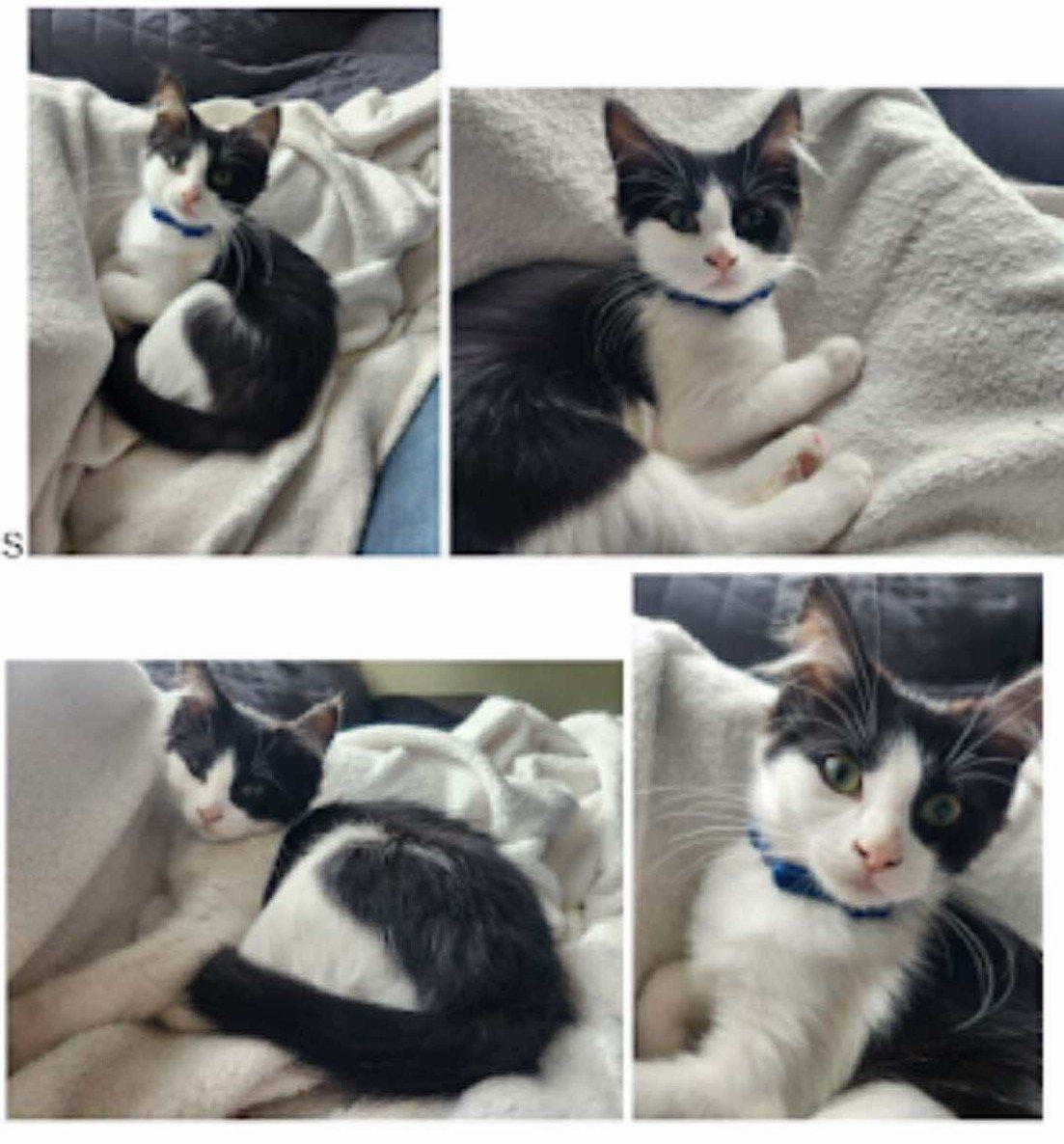 Freida