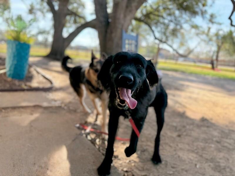 Jethro Joseph Jefferson Mayor thumbnail 2