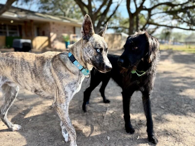 Jethro Joseph Jefferson Mayor thumbnail 4