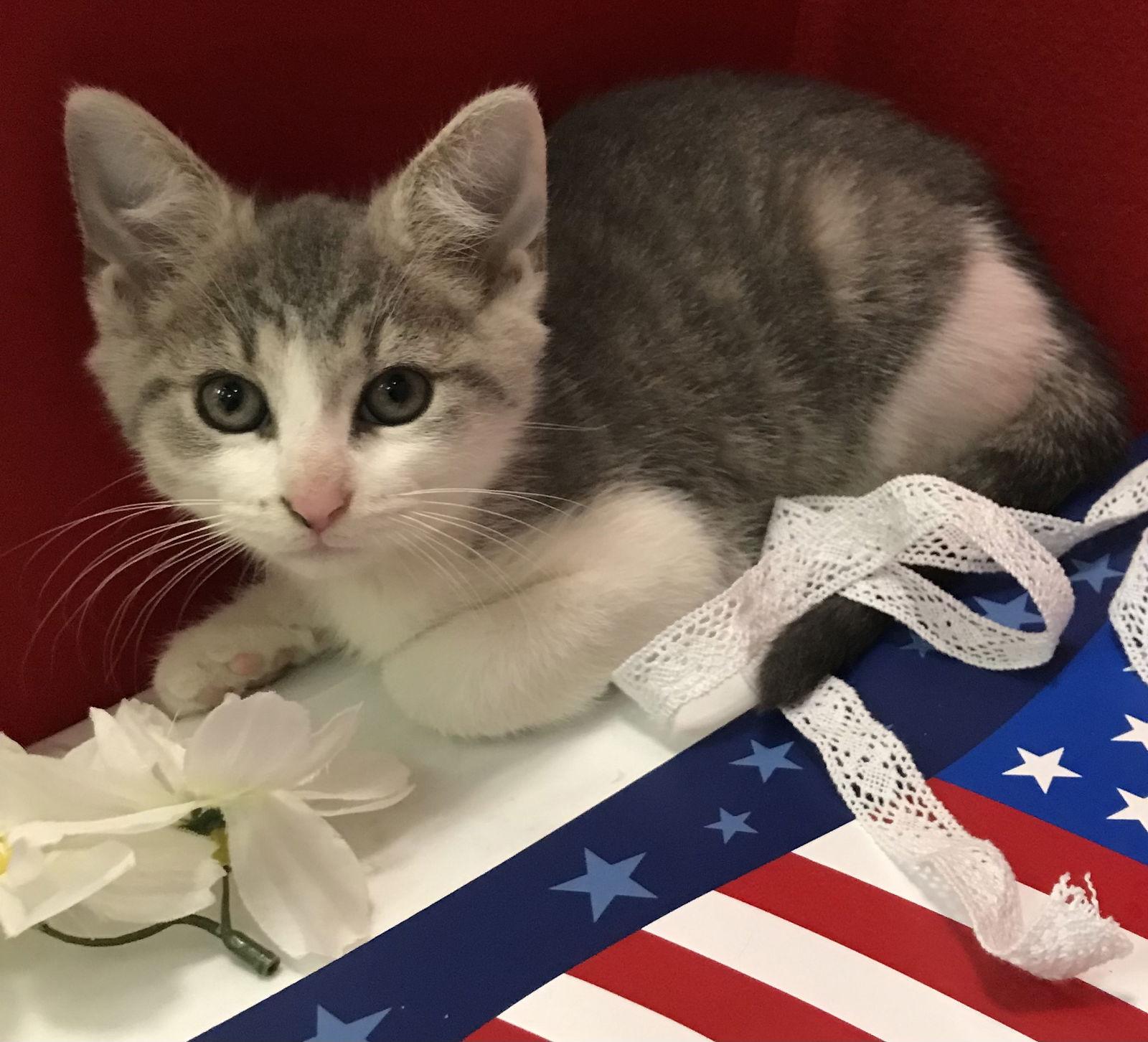 Luke — thumbnail 3