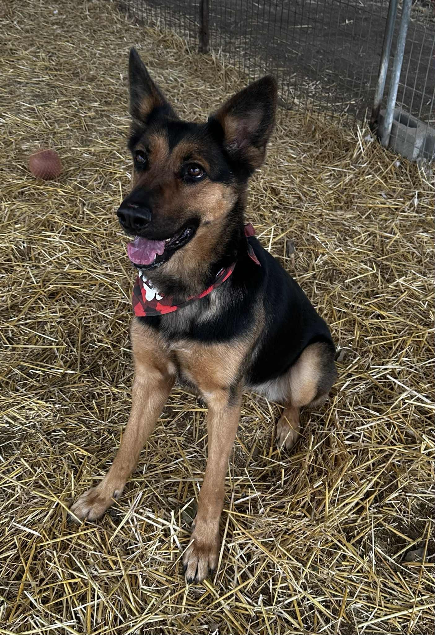 Lady Mae thumbnail 3