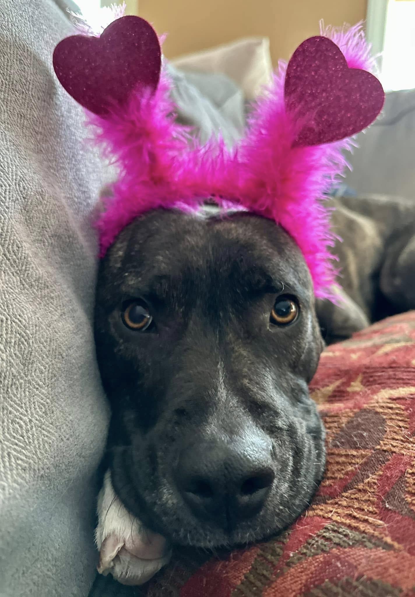 Clarice Here In Nh thumbnail 3