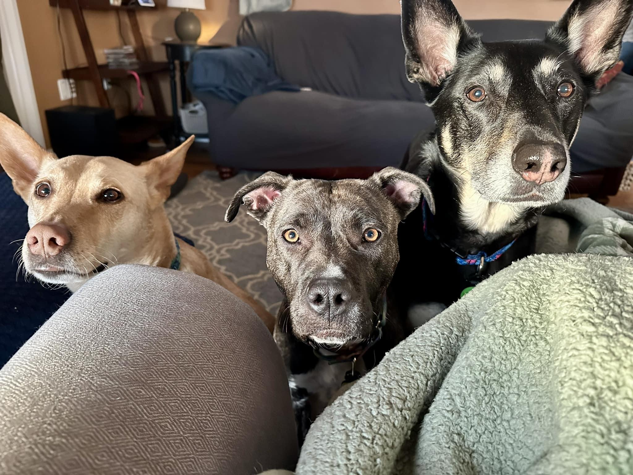 Clarice Here In Nh thumbnail 4