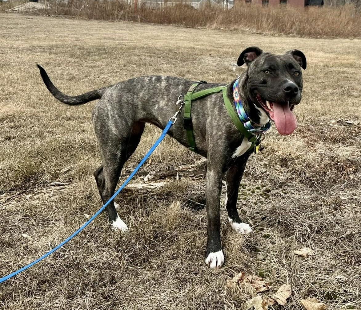 Clarice Here In Nh thumbnail 5