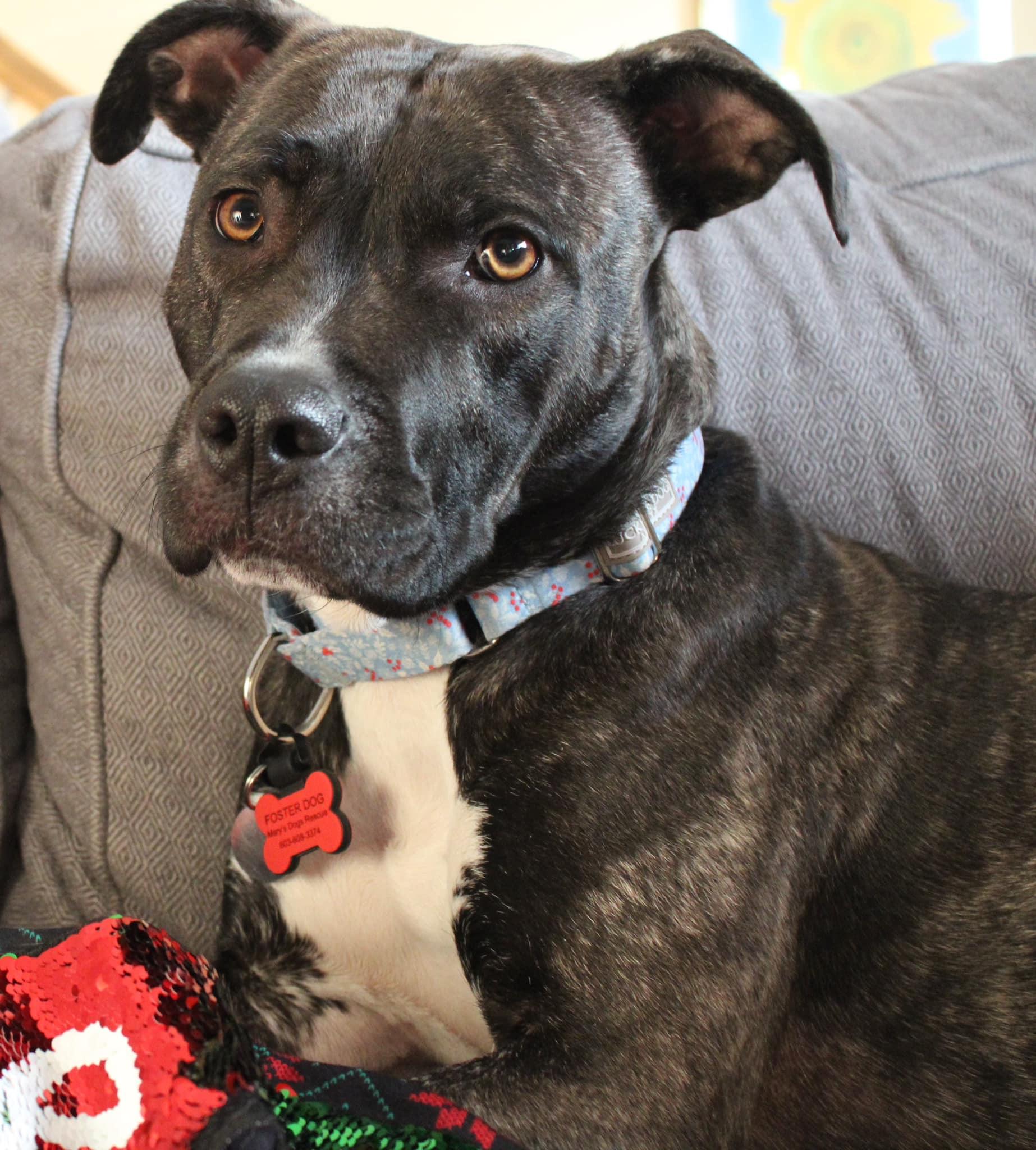 Clarice Here In Nh thumbnail 6