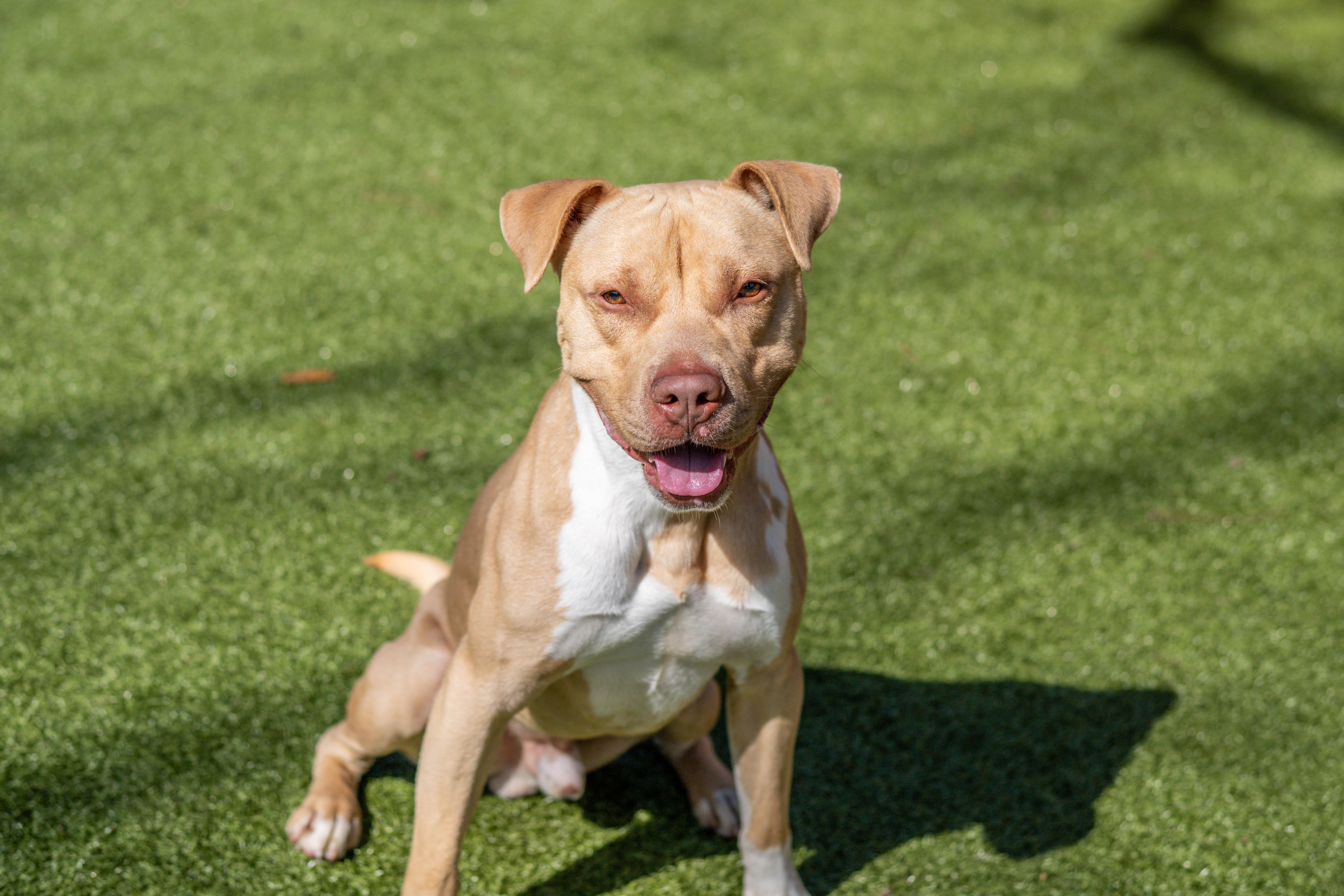 Reuben — thumbnail 2