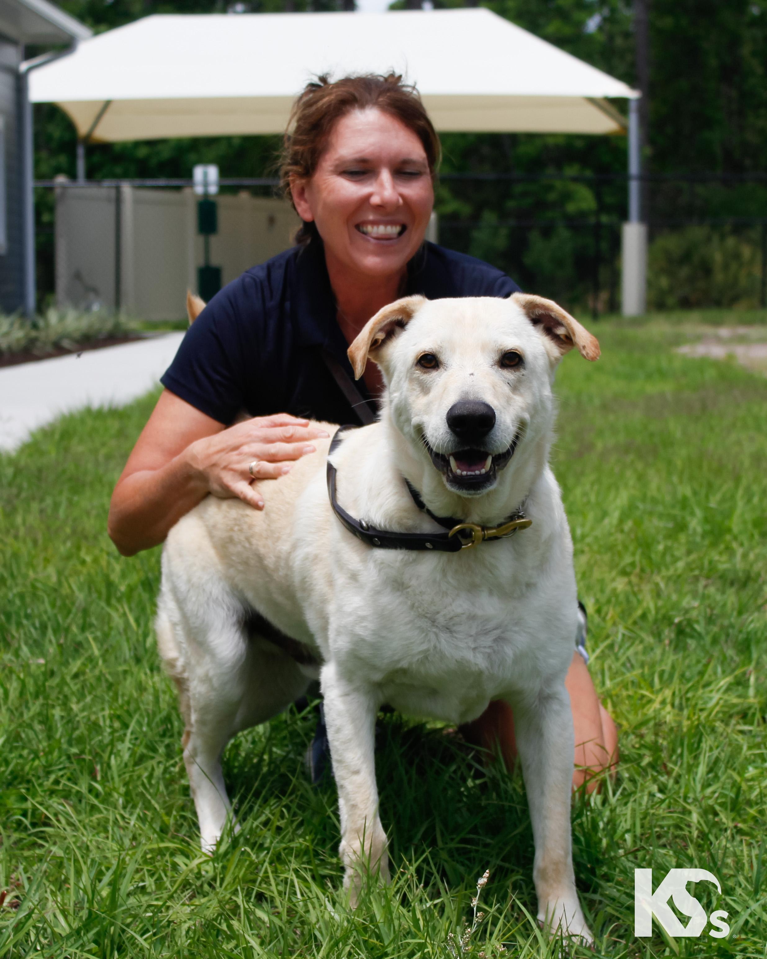 Judd, a ADOPTABLE mixed breed in Ponte Vedra, FL image 2/5