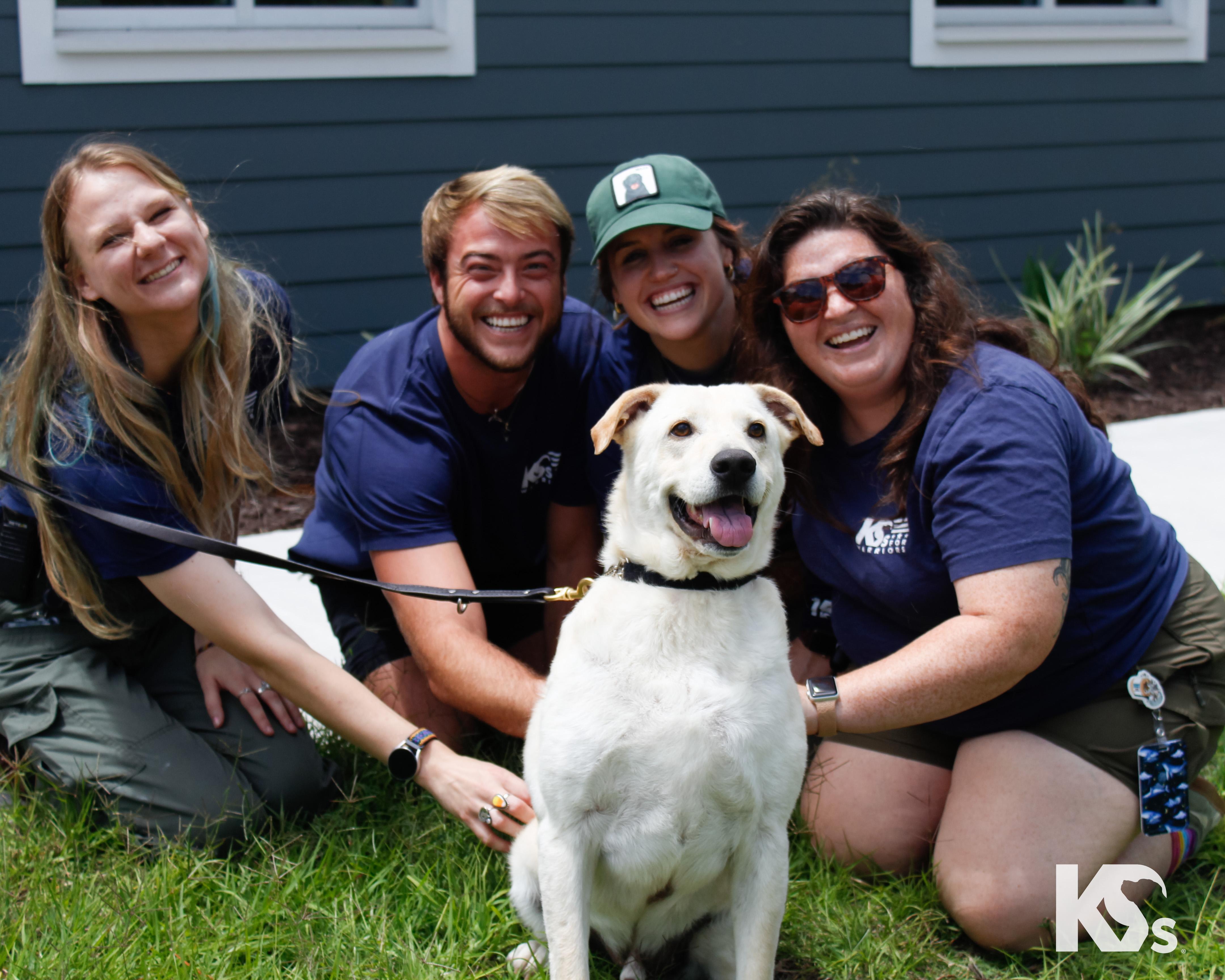 Judd, a ADOPTABLE mixed breed in Ponte Vedra, FL image 3/5