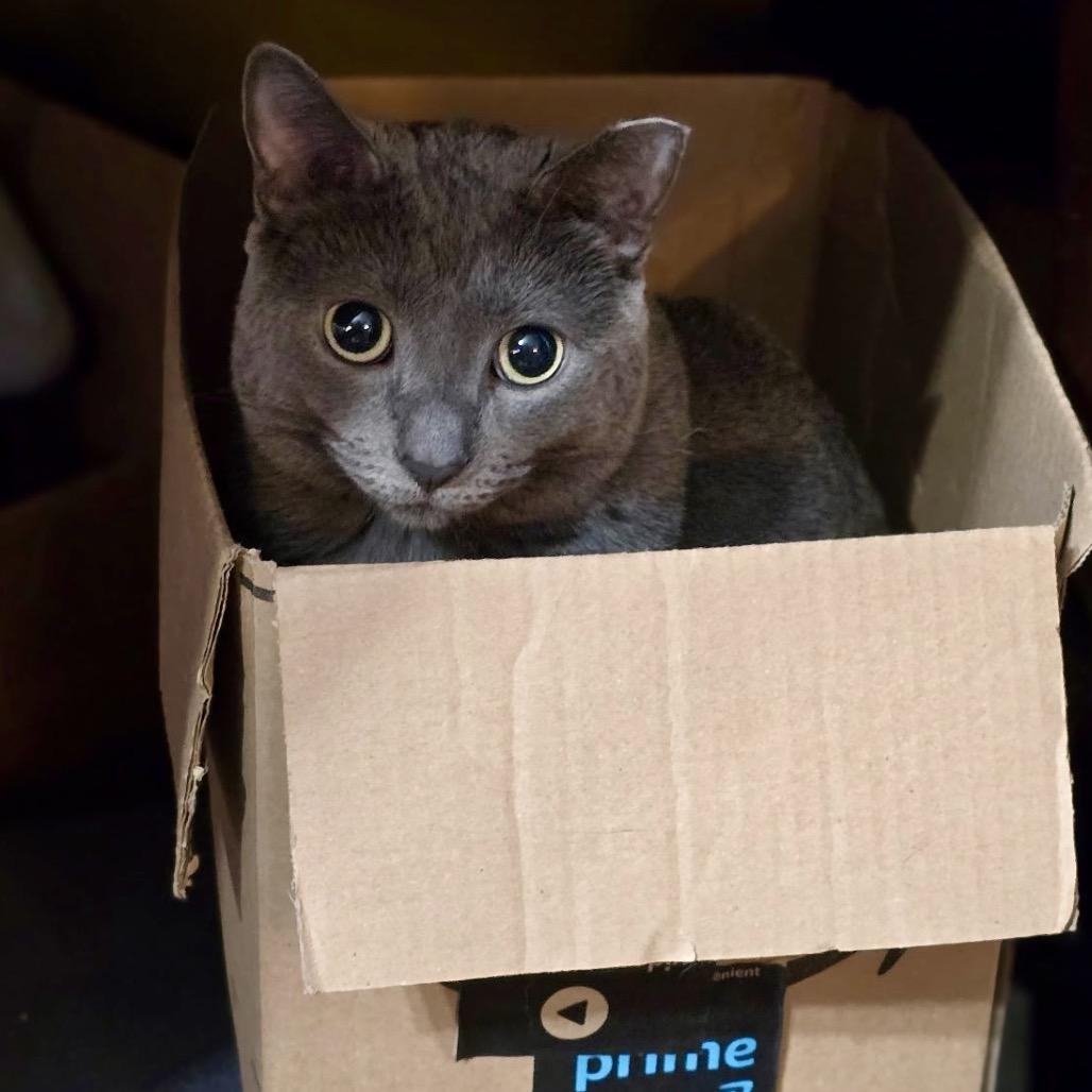 Scar — thumbnail 4