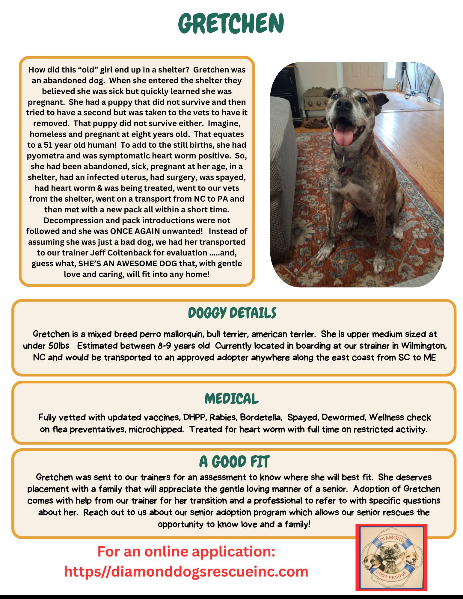 Enlarge Gretchen, a ADOPTABLE mixed breed in Mount Holly, NJ image 6/6