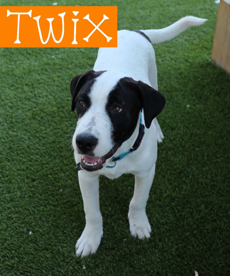 Twix
