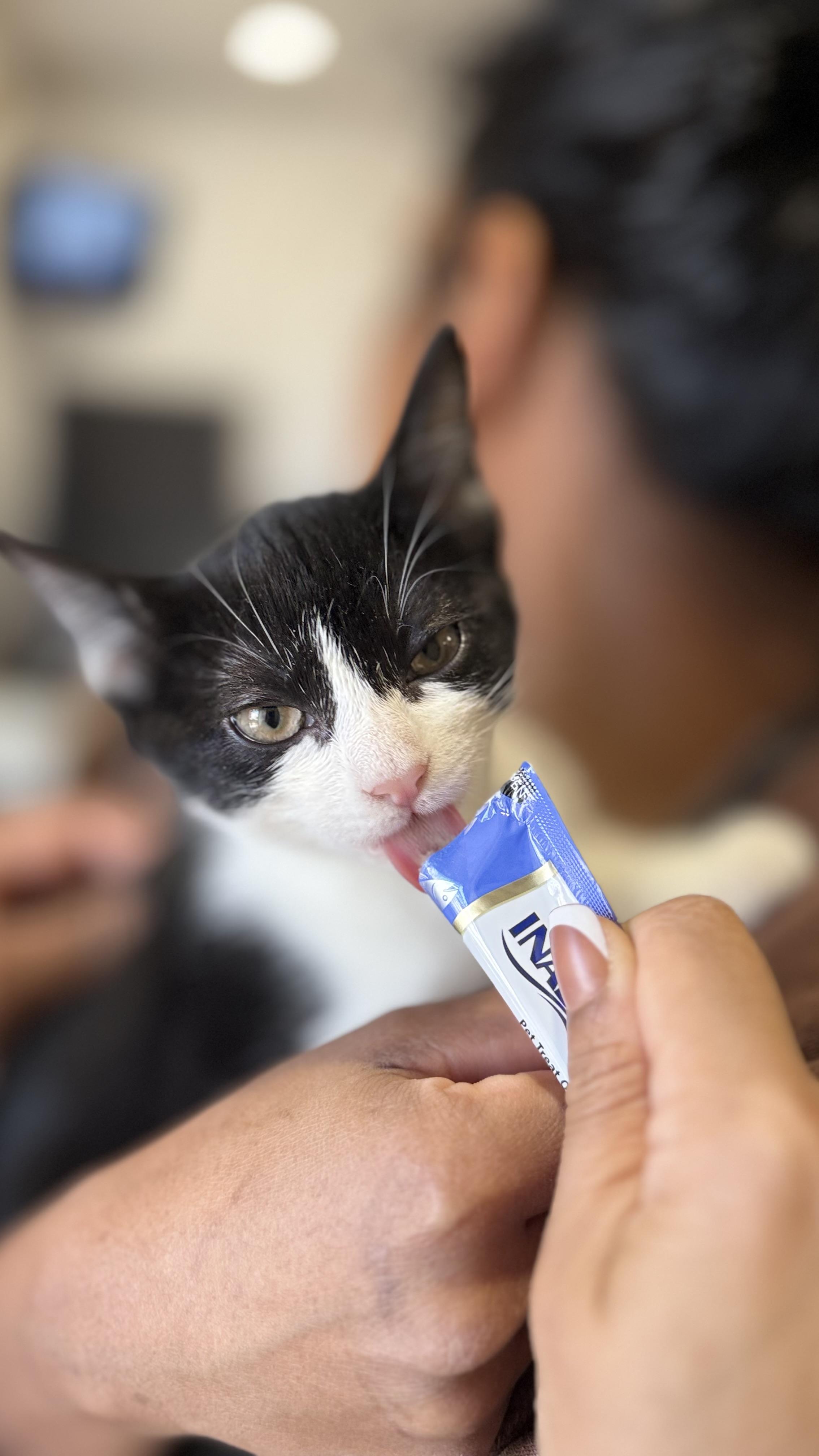 Leona Love thumbnail 2