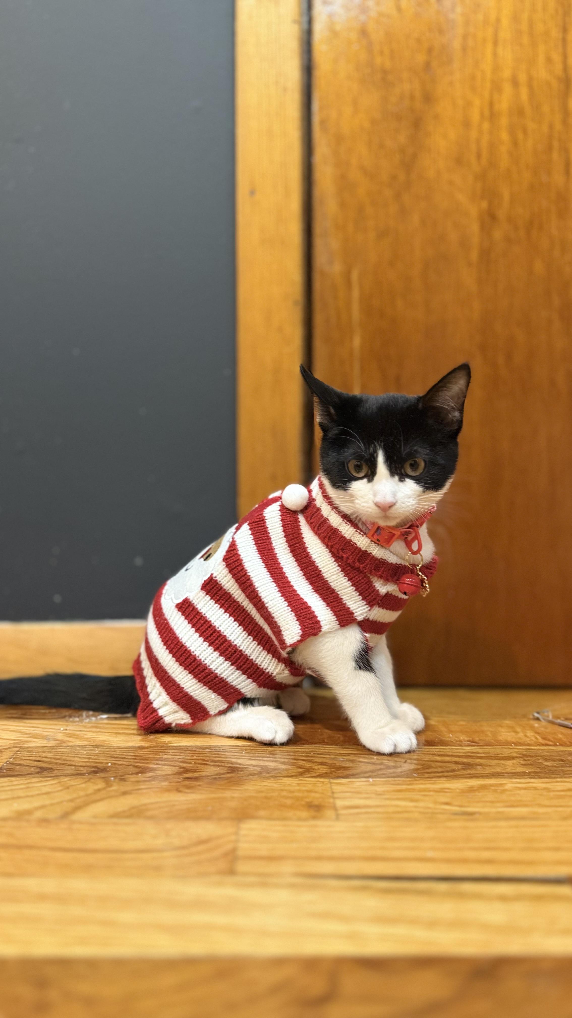 Leona Love thumbnail 3