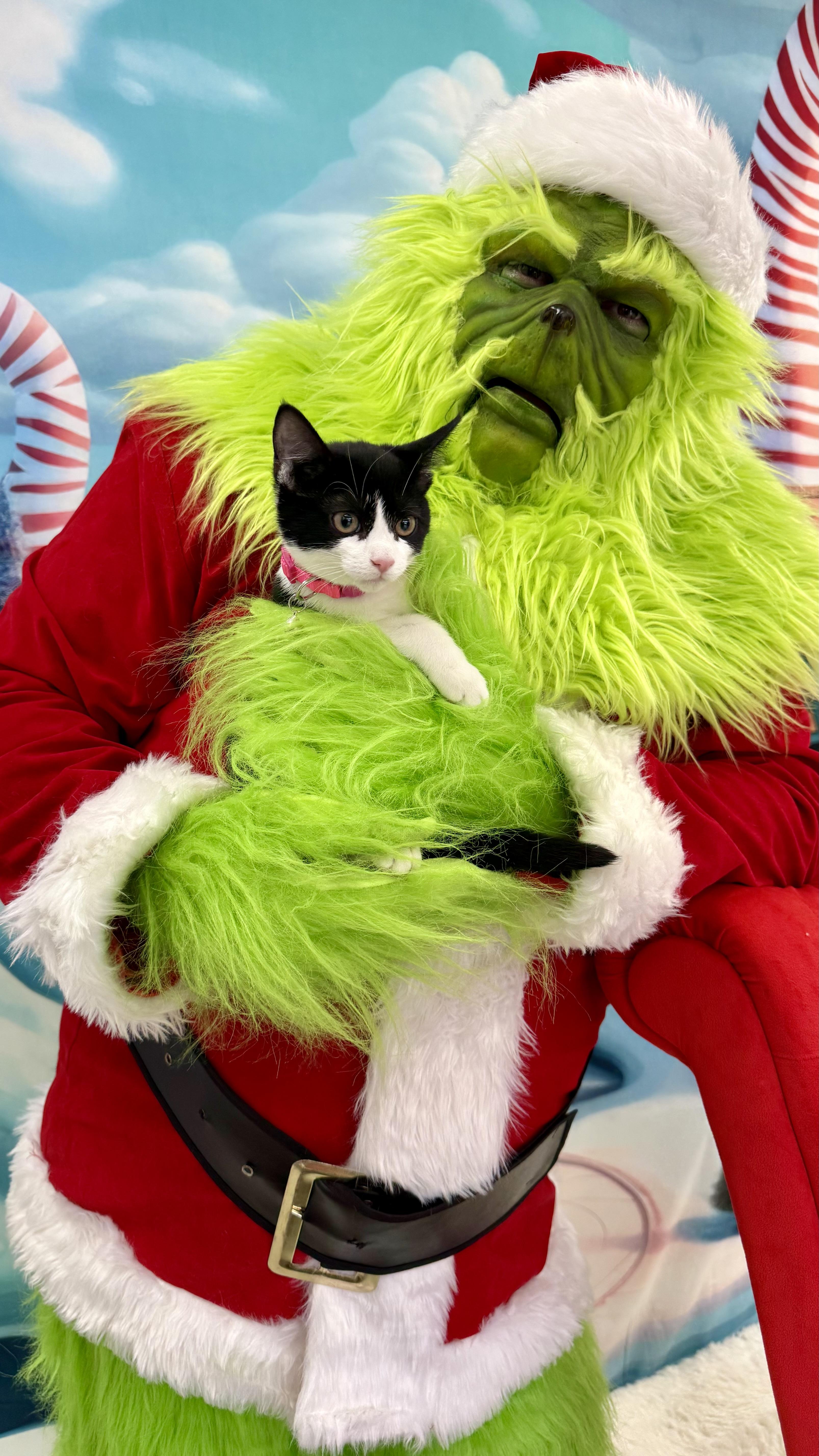 Leona Love thumbnail 5