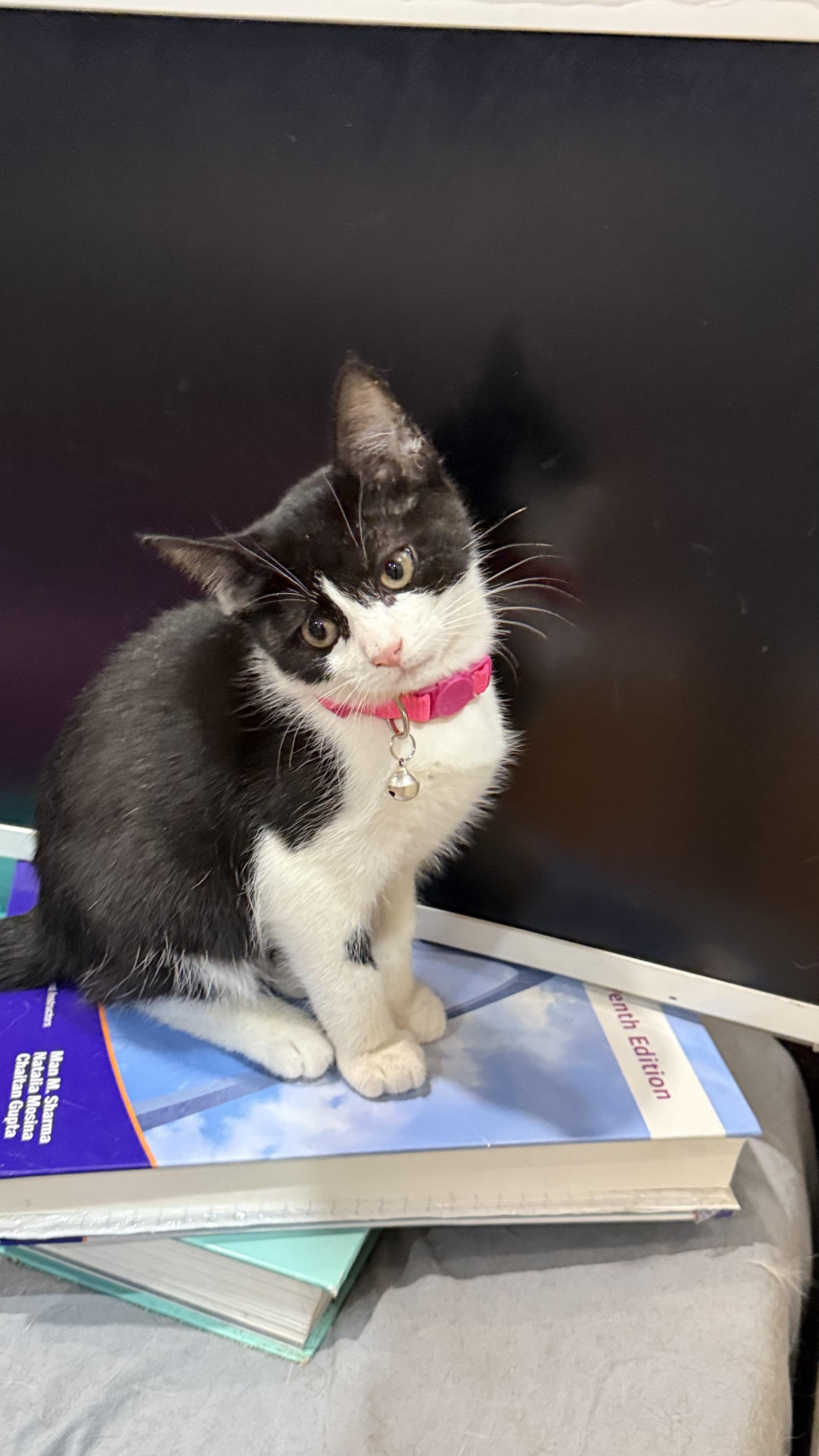 Leona Love thumbnail 6