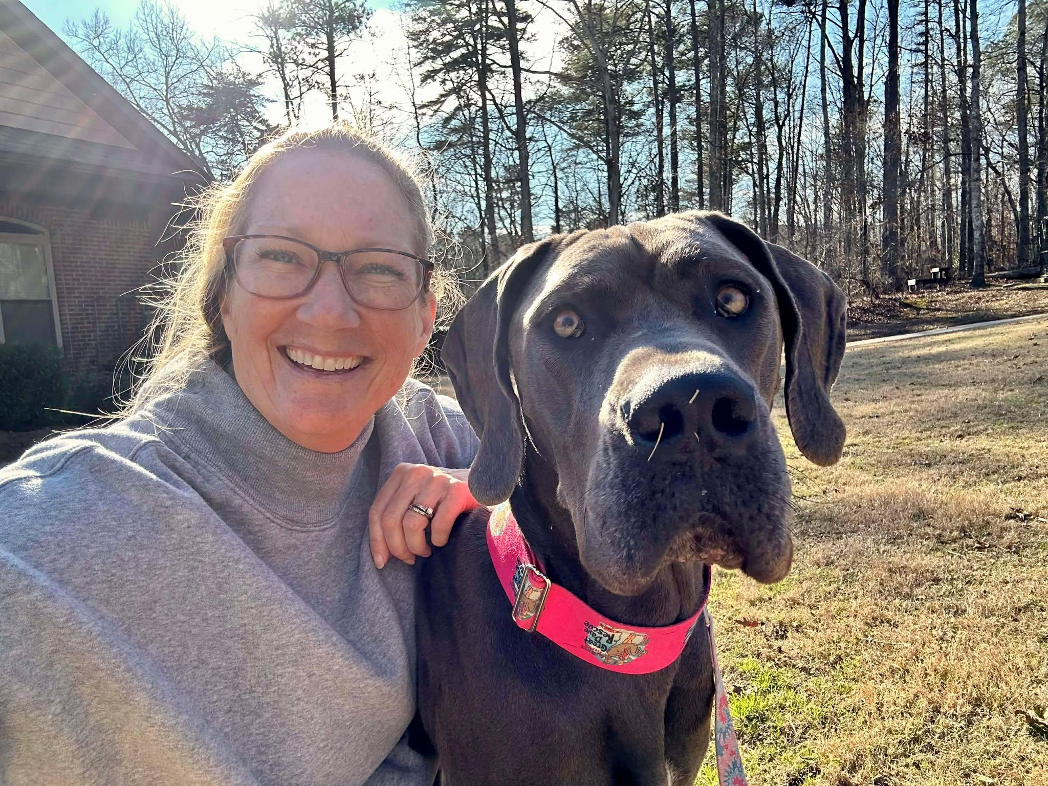 Lucy, an adoptable Great Dane in Pensacola, FL image 4/5