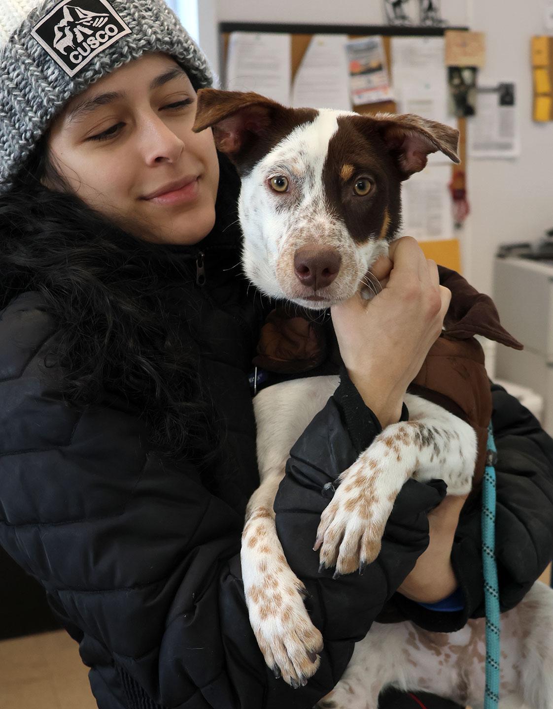 Enlarge BamBam, a ADOPTABLE mixed breed in Harrison, NY image 5/6