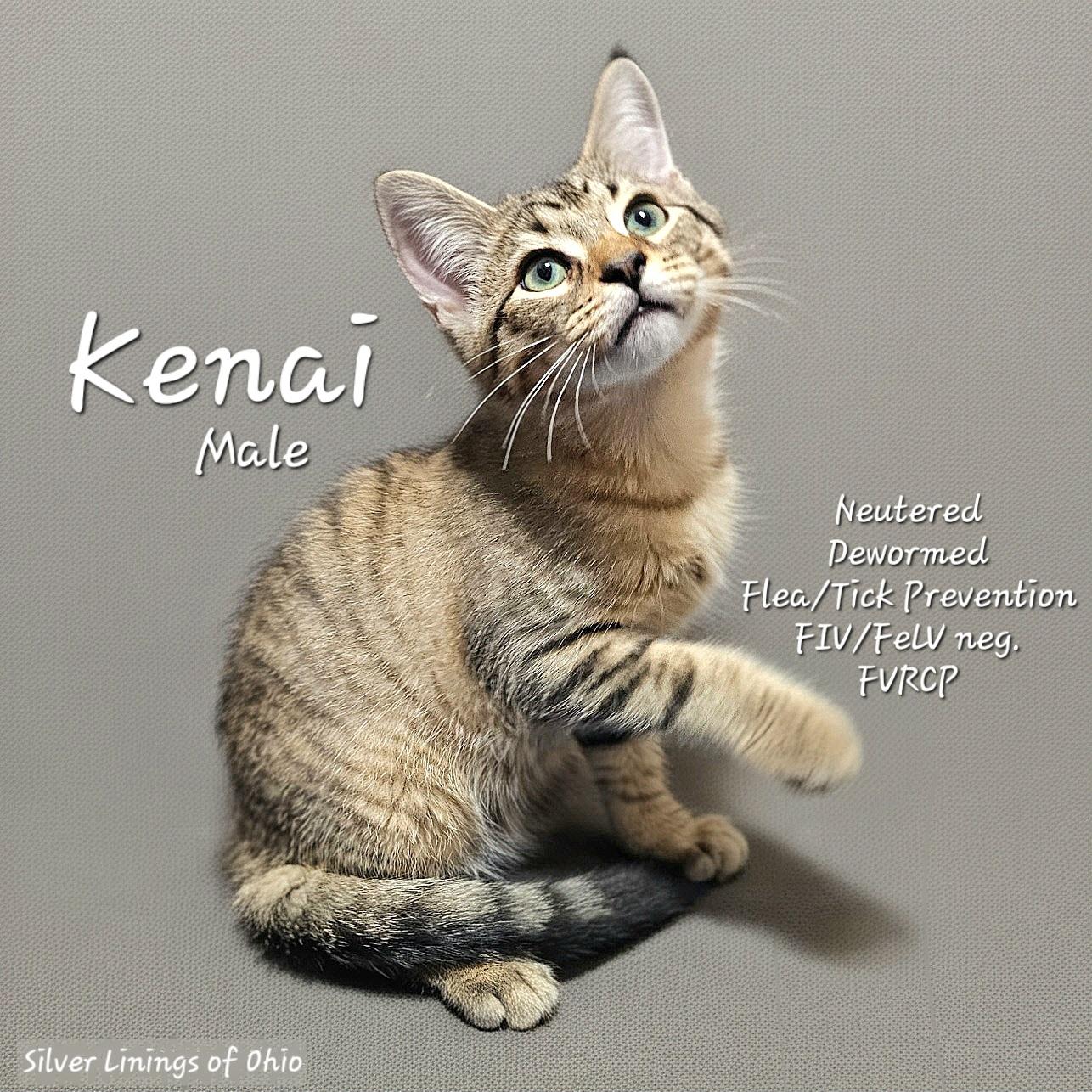 Kenai