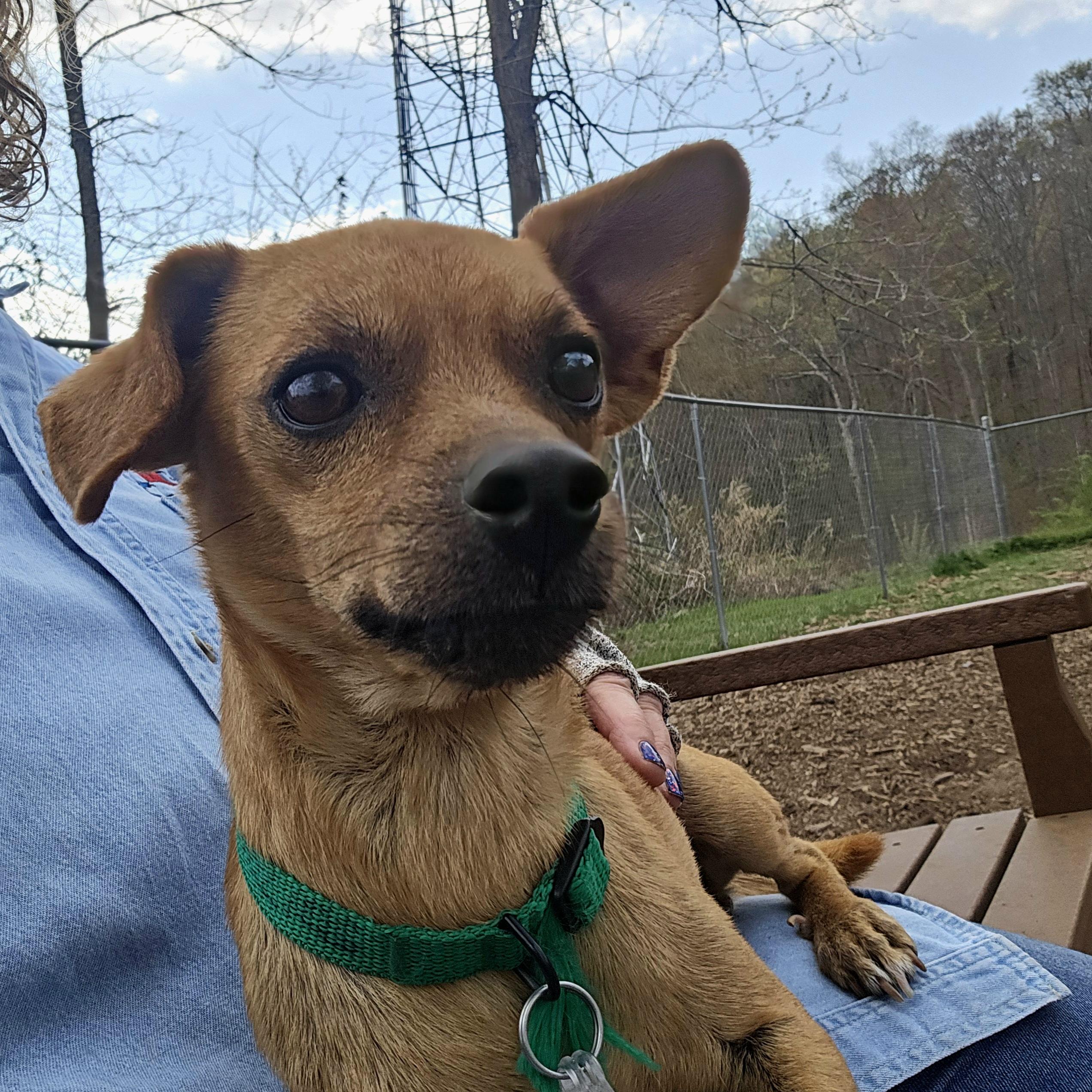 Diego