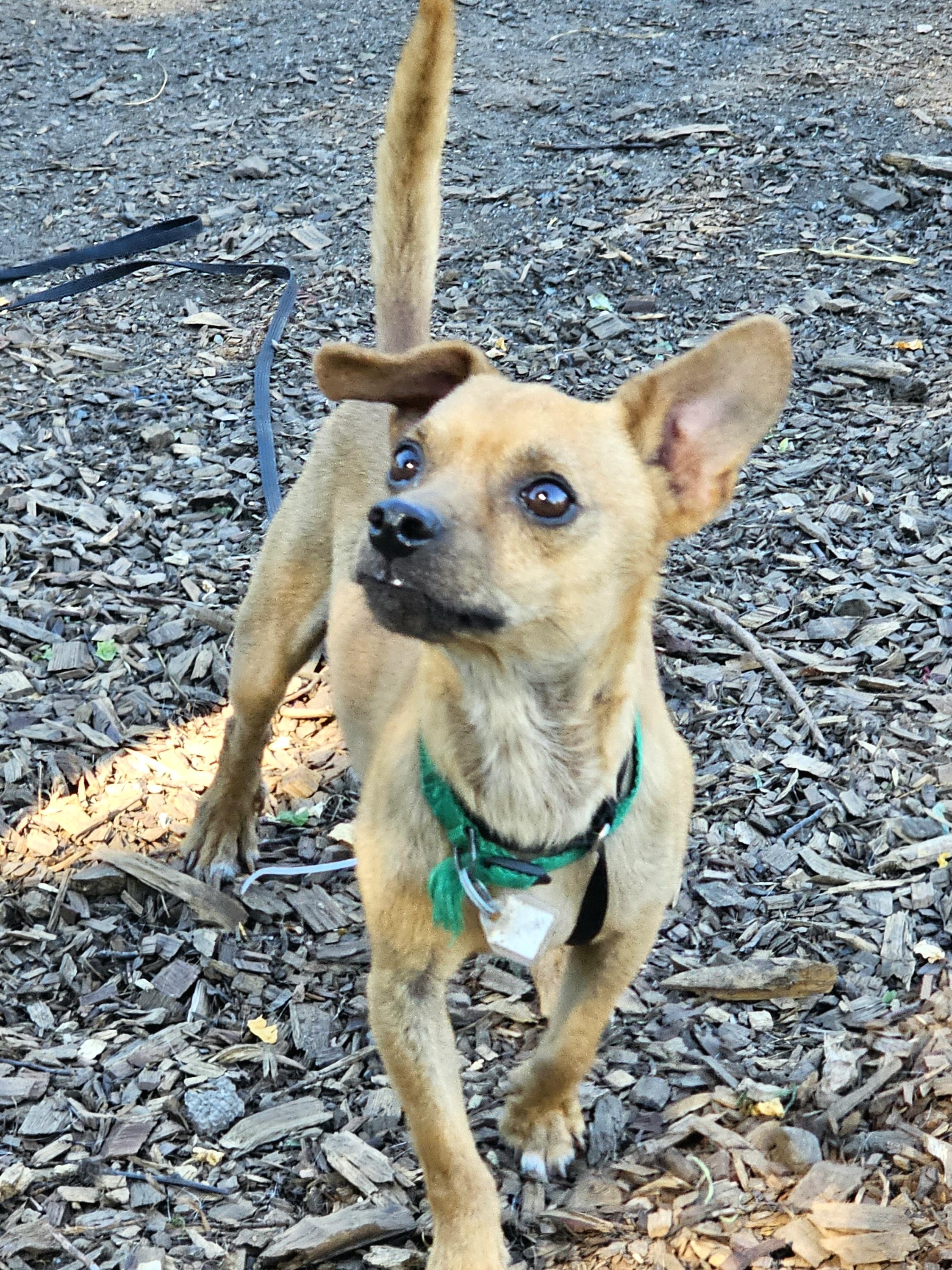 Diego