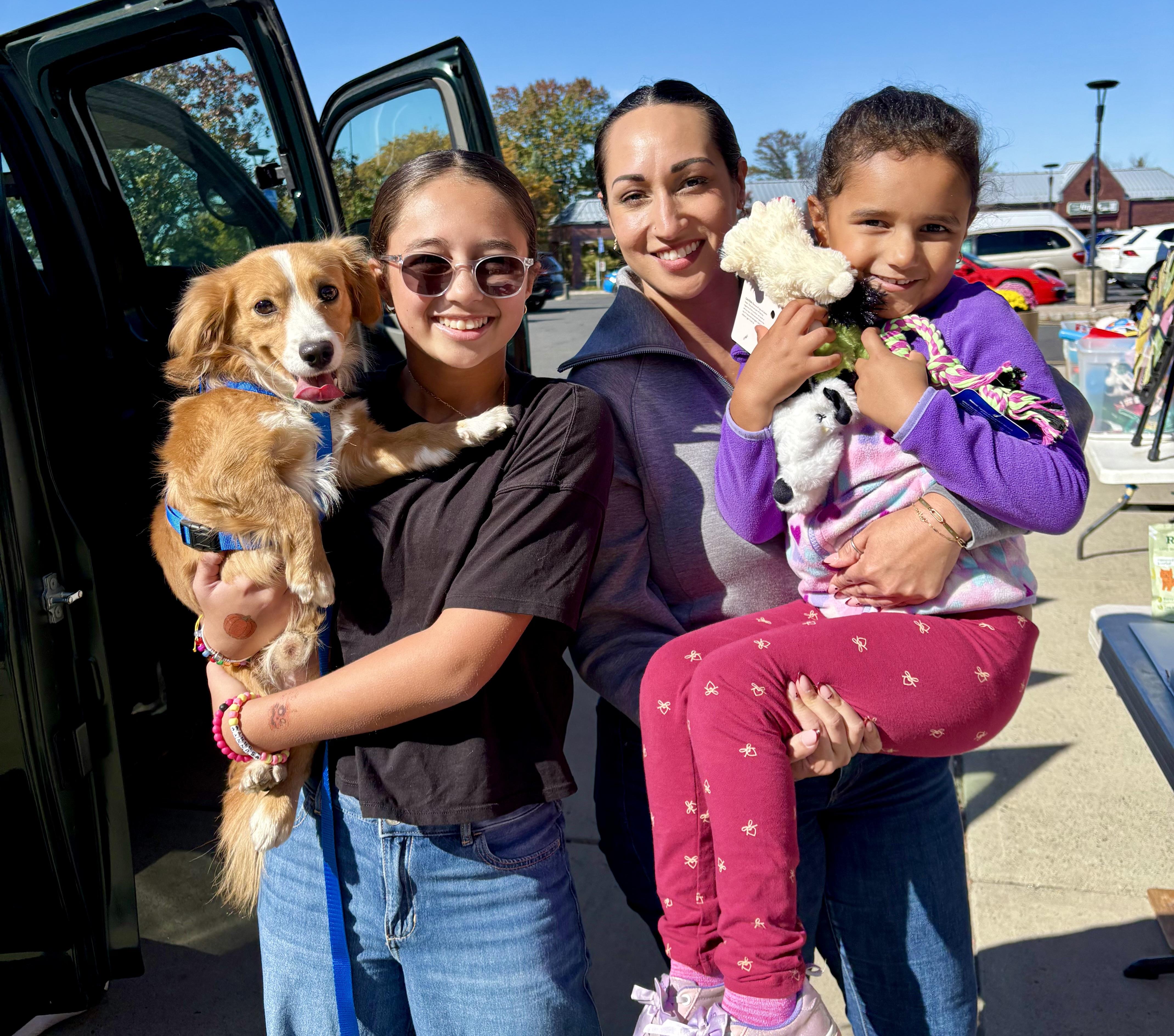 Red - Adoption Pending, Adoptable, Young Male Dachshund (Long Haired).