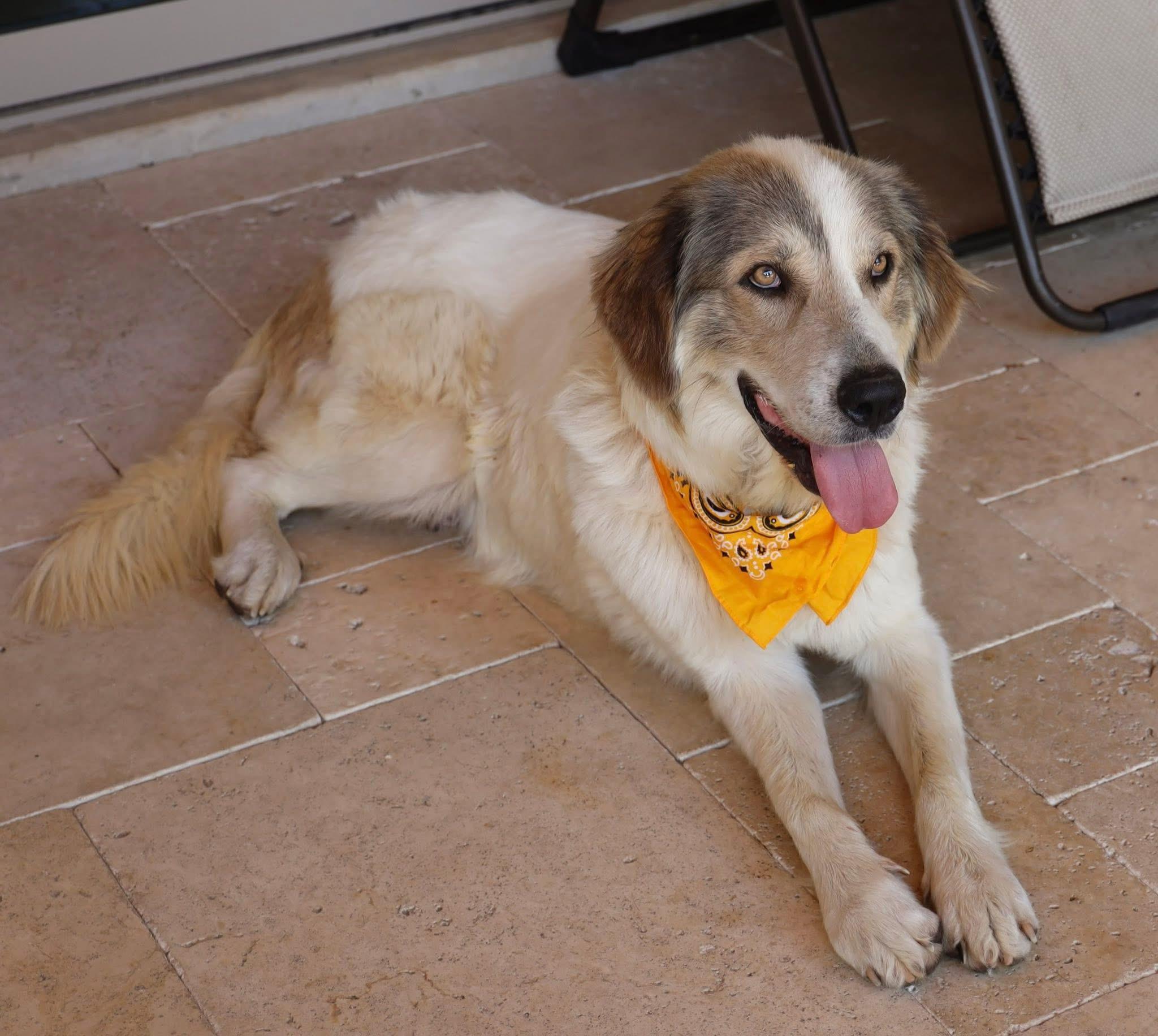 Maple Mae photo 3