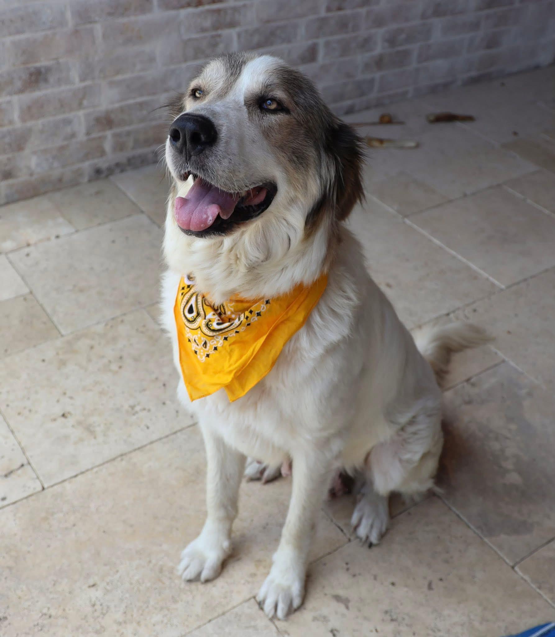 Maple Mae photo 4