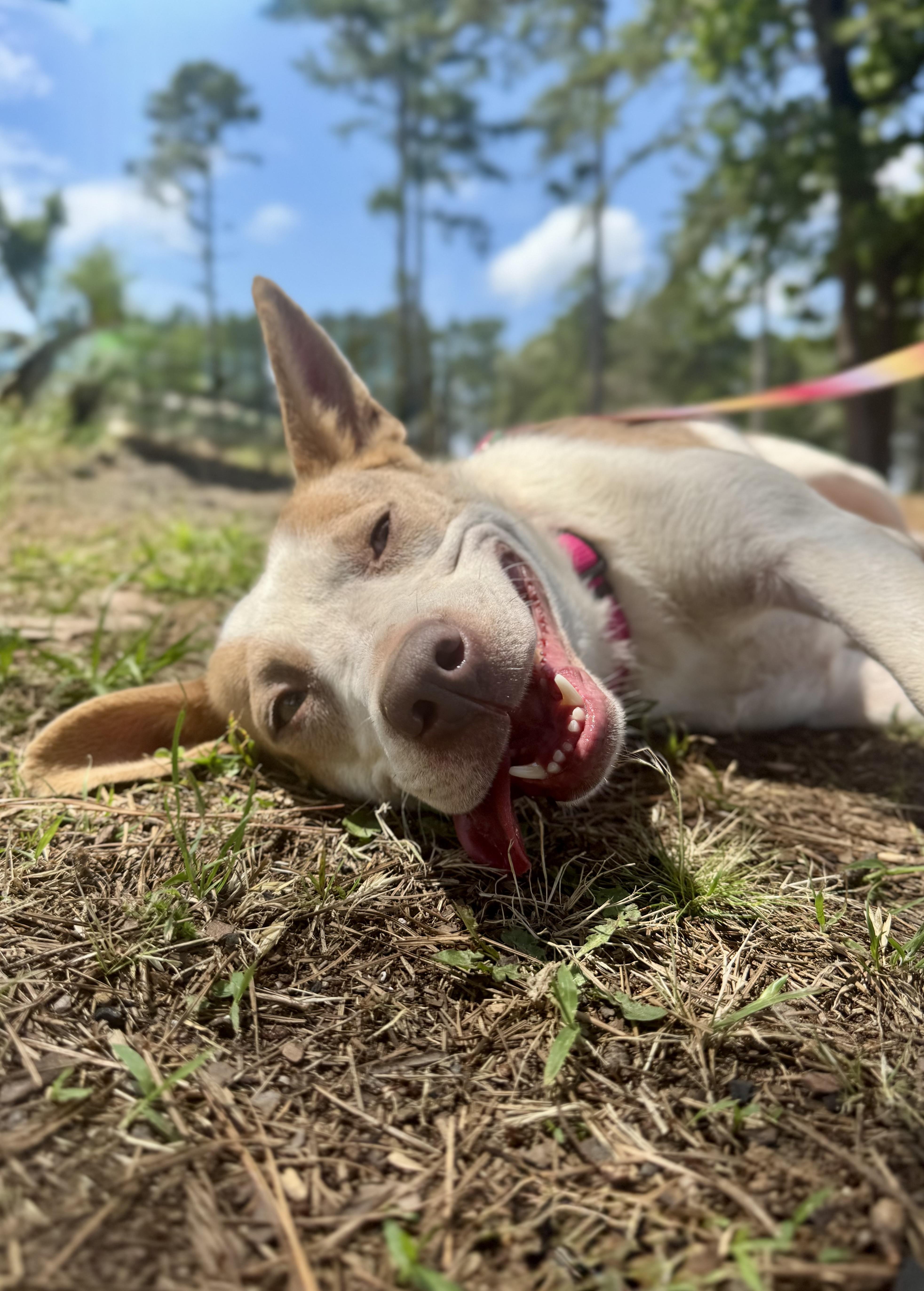 Frankie-Lynn