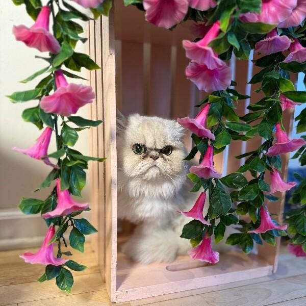 Margot Marvelous — thumbnail 5