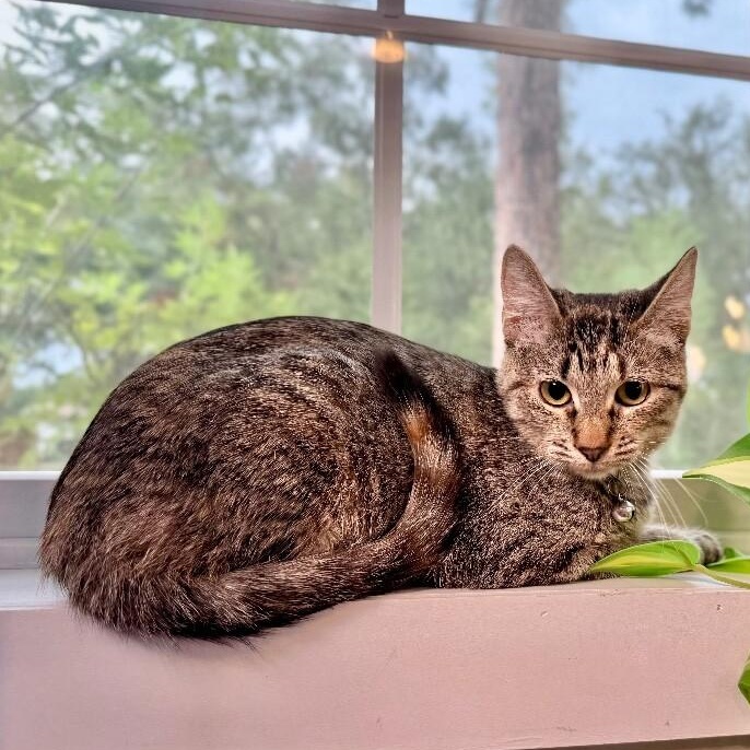 Bronx New York — thumbnail 5