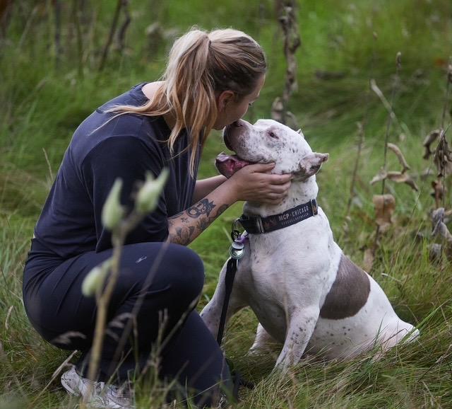 Enlarge Billy, a Adoptable mixed breed in Chicago, IL image 2/6