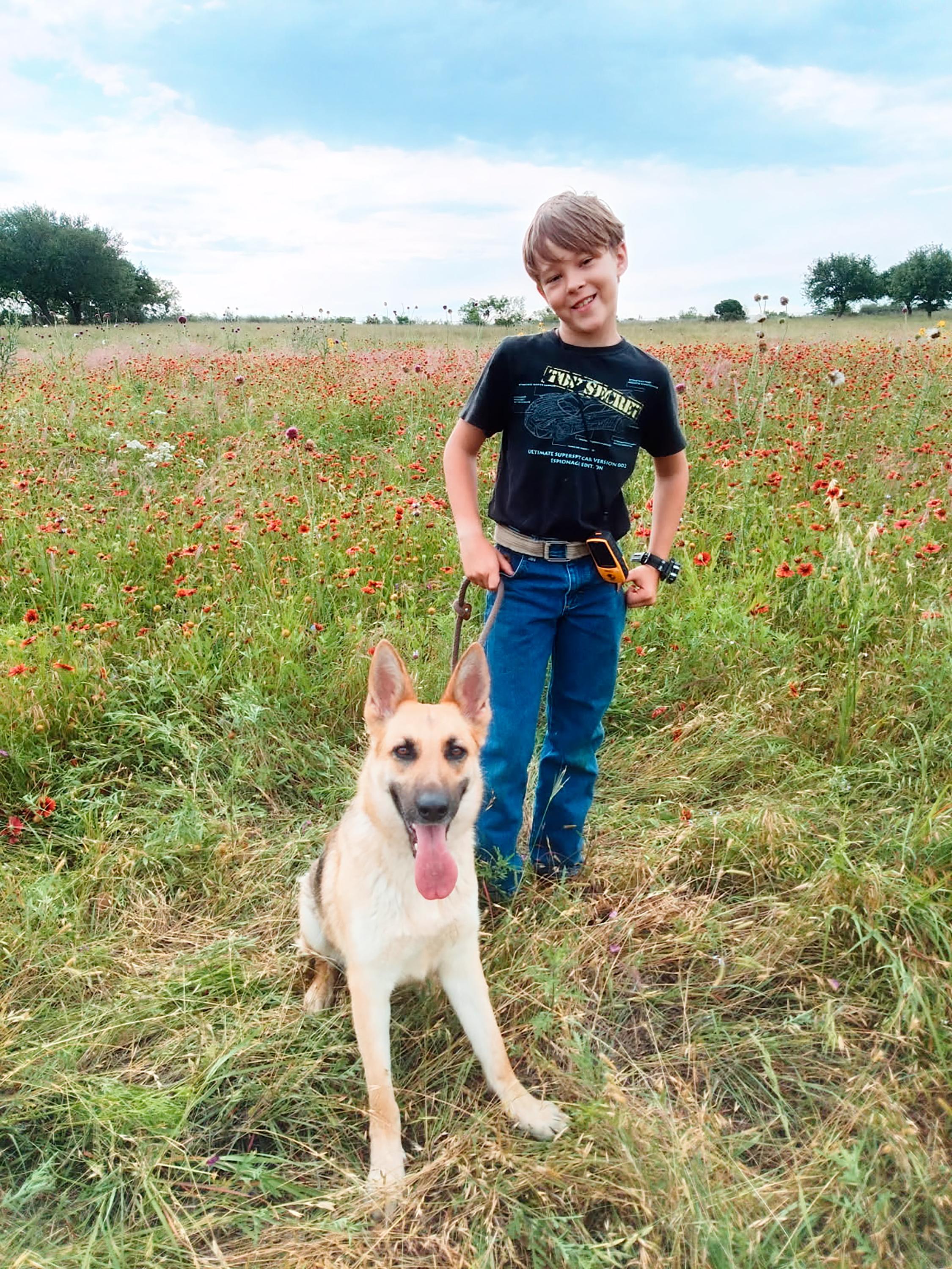 Enlarge Rhea, a ADOPTABLE mixed breed in Mason, TX image 6/6