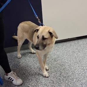 Hunter — thumbnail 3