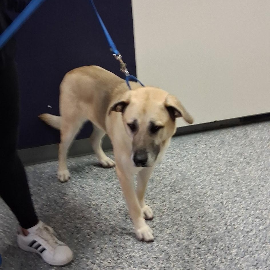 Hunter — thumbnail 6