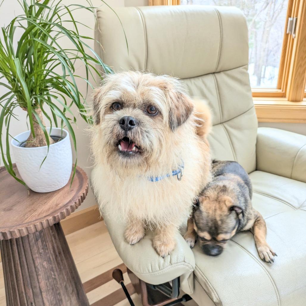 Mac bonded to Denny — thumbnail 4