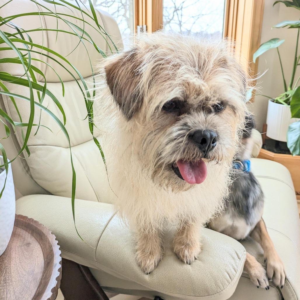 Mac bonded to Denny — thumbnail 6